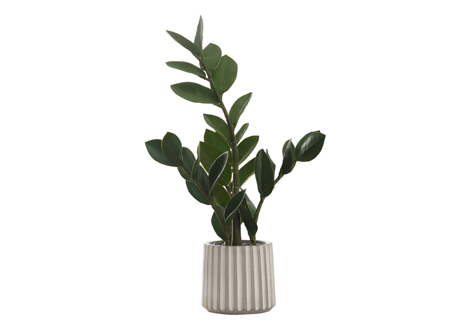 PLANTE ARTIFICIELLE – 50 cm H / ZZ D'INTÉRIEUR DANS UN POT EN CIMENT DE 12,5 cm # I 9500