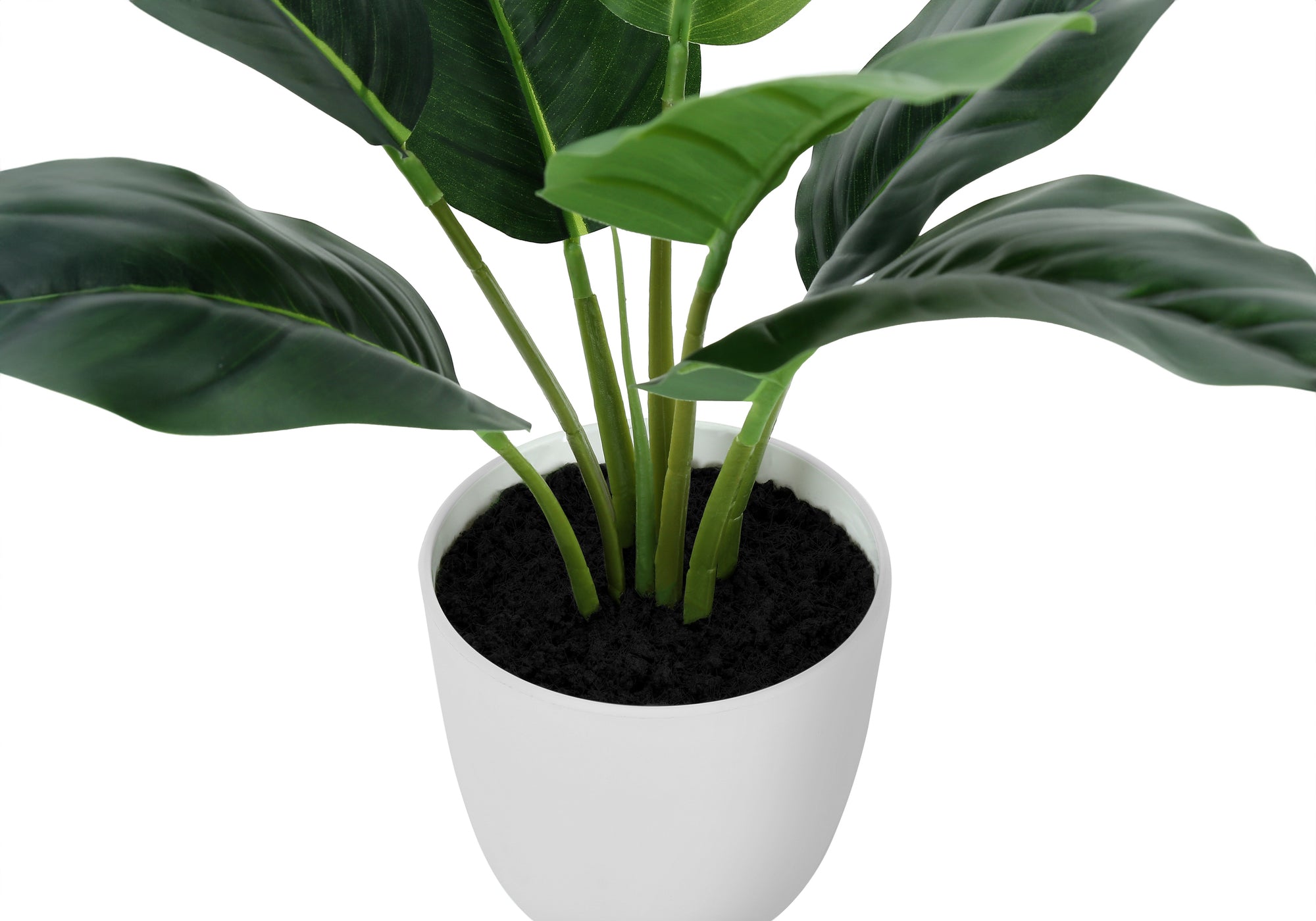 ARTIFICIAL PLANT – 17"H / INDOOR AUREUM IN A 5" POT # I 9502
