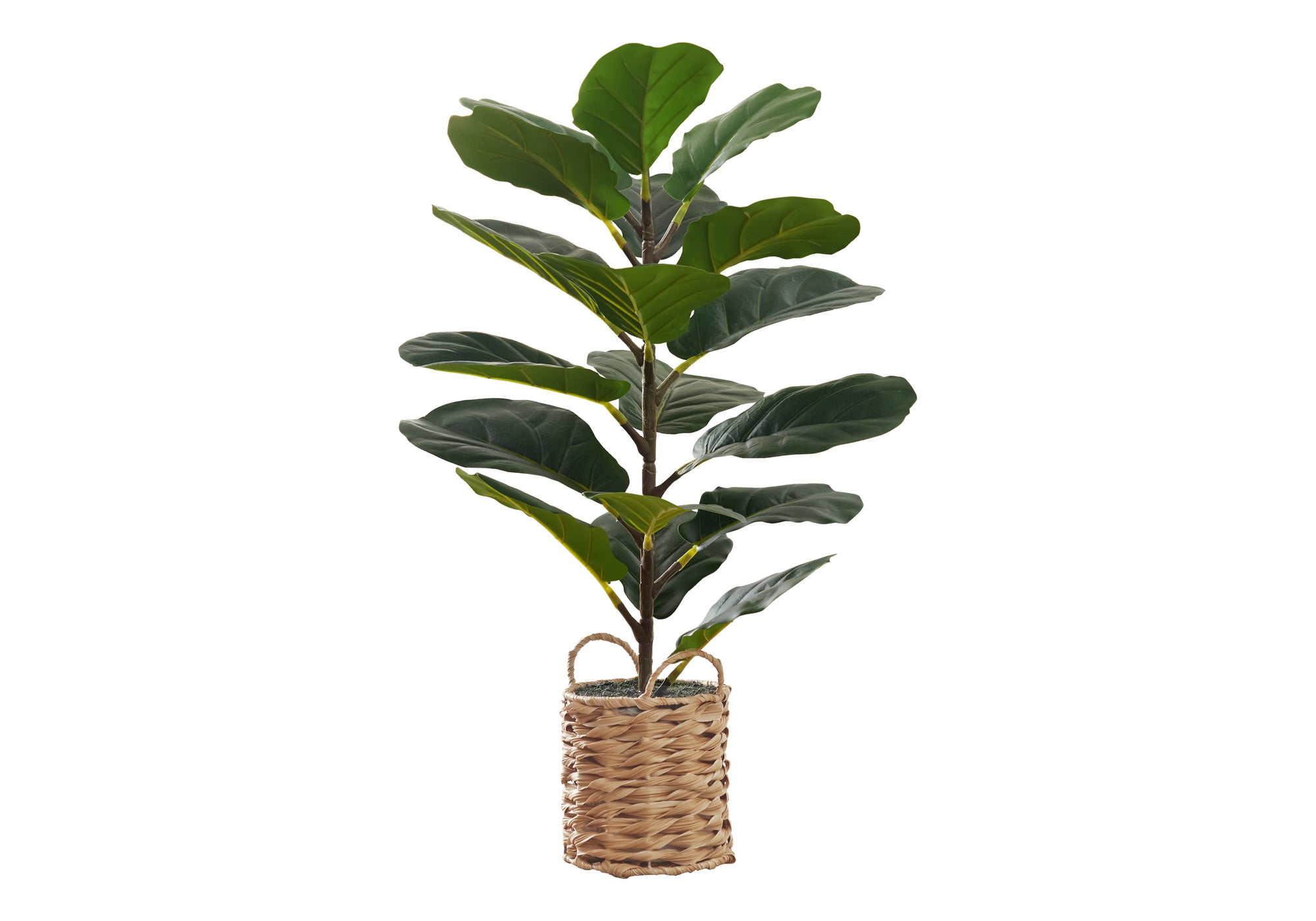 PLANTE ARTIFICIELLE – 71 cm H / VIOLON D'INTÉRIEUR / PANIER TRESSÉ 20 cm N° I 9505