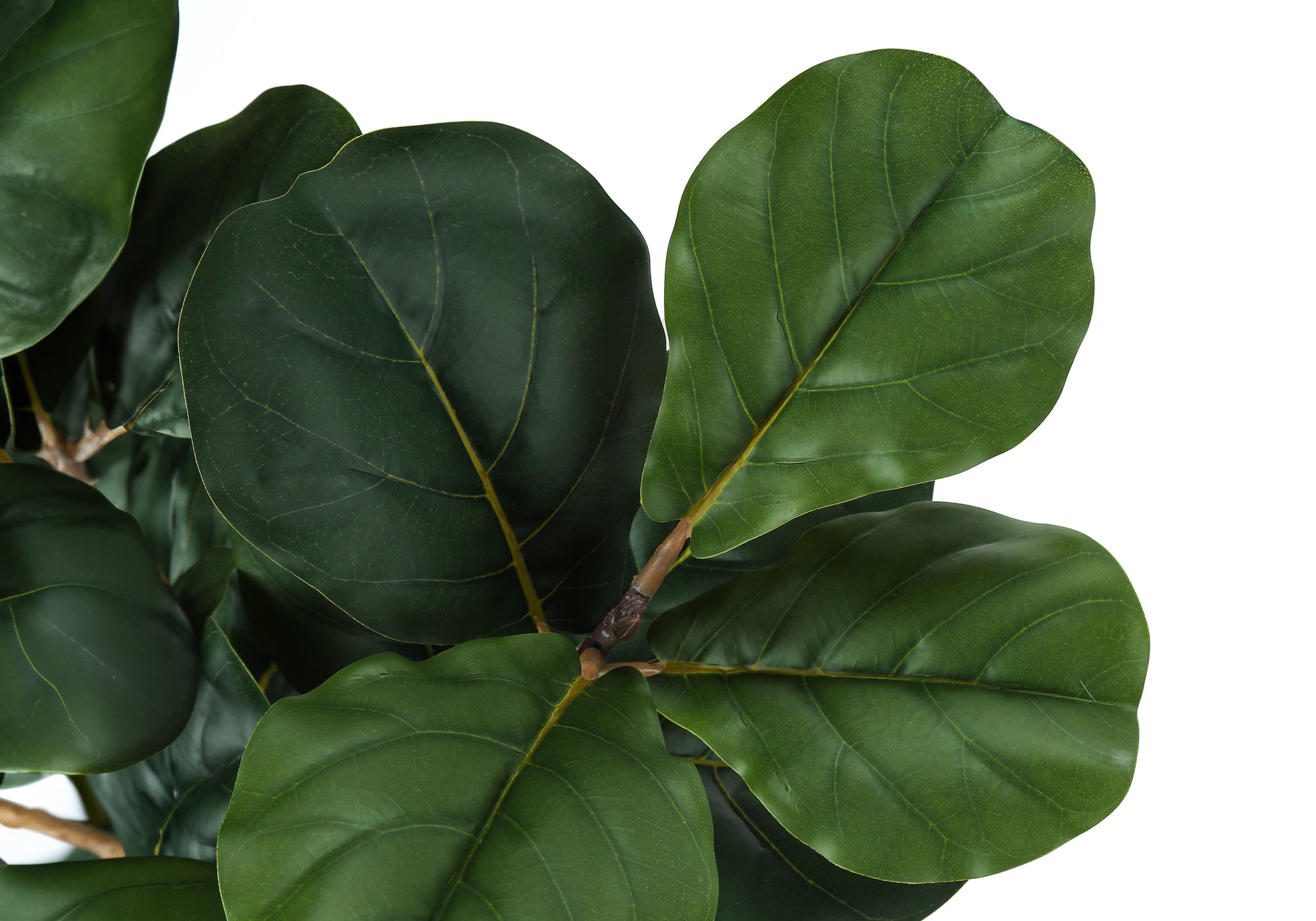 ARTIFICIAL PLANT – 32"H / INDOOR FIDDLE IN A 6" POT # I 9511