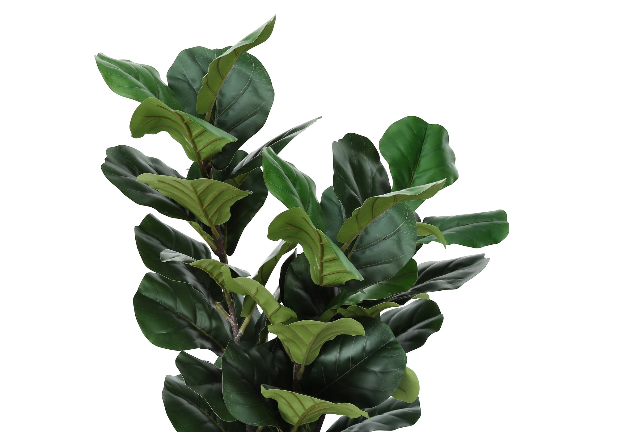 ARTIFICIAL PLANT – 32"H / INDOOR FIDDLE IN A 6" POT # I 9511