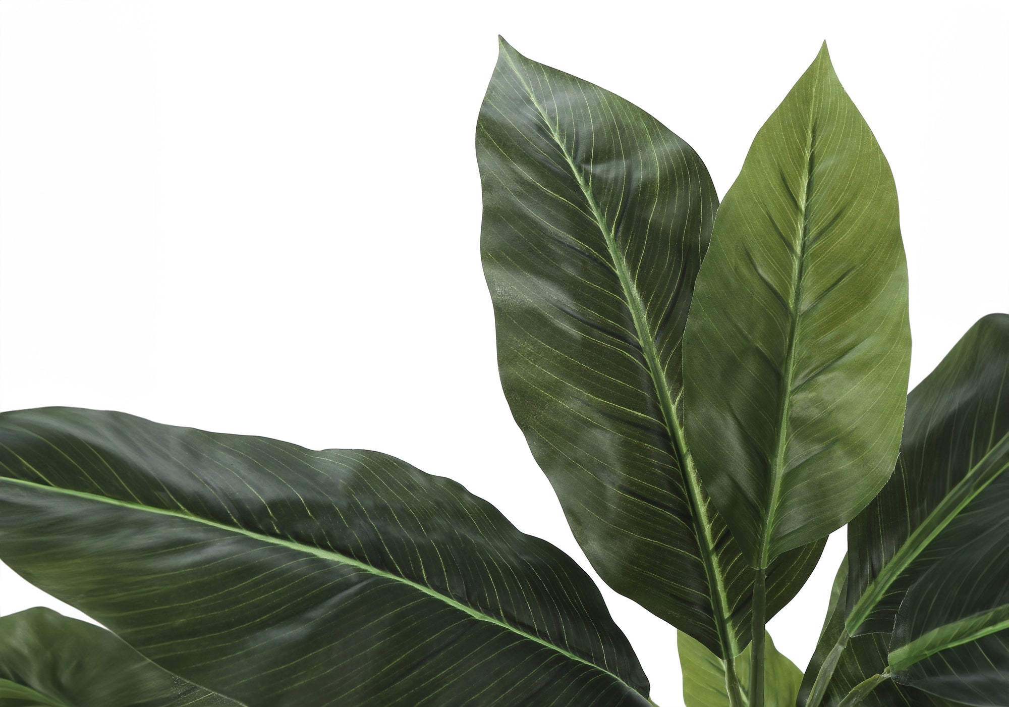 ARTIFICIAL PLANT - 42"H / INDOOR EVERGREEN IN A 5" POT # I 9512