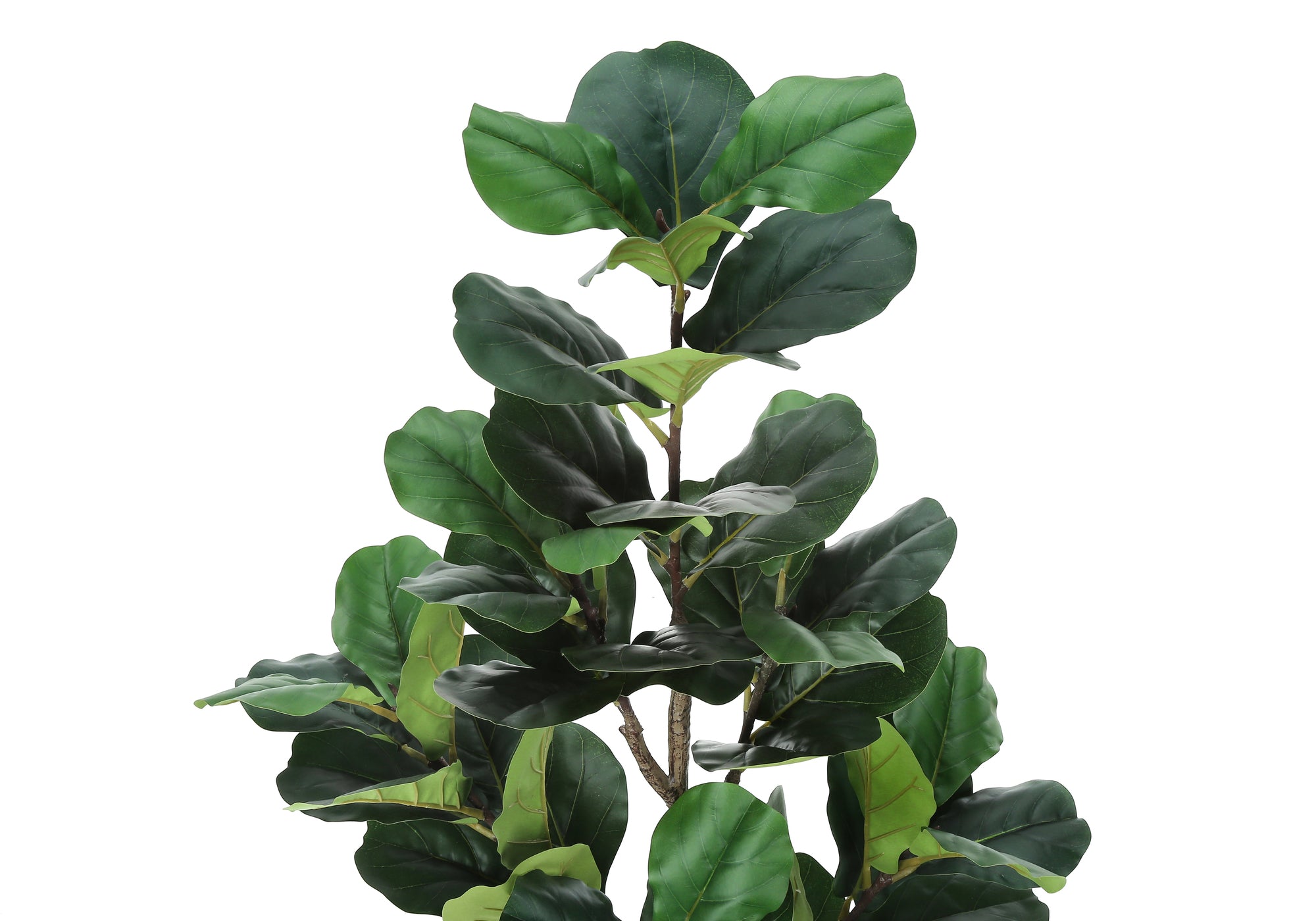 ARTIFICIAL PLANT – 49"H / INDOOR FIDDLE TREE IN A 5" POT # I 9517