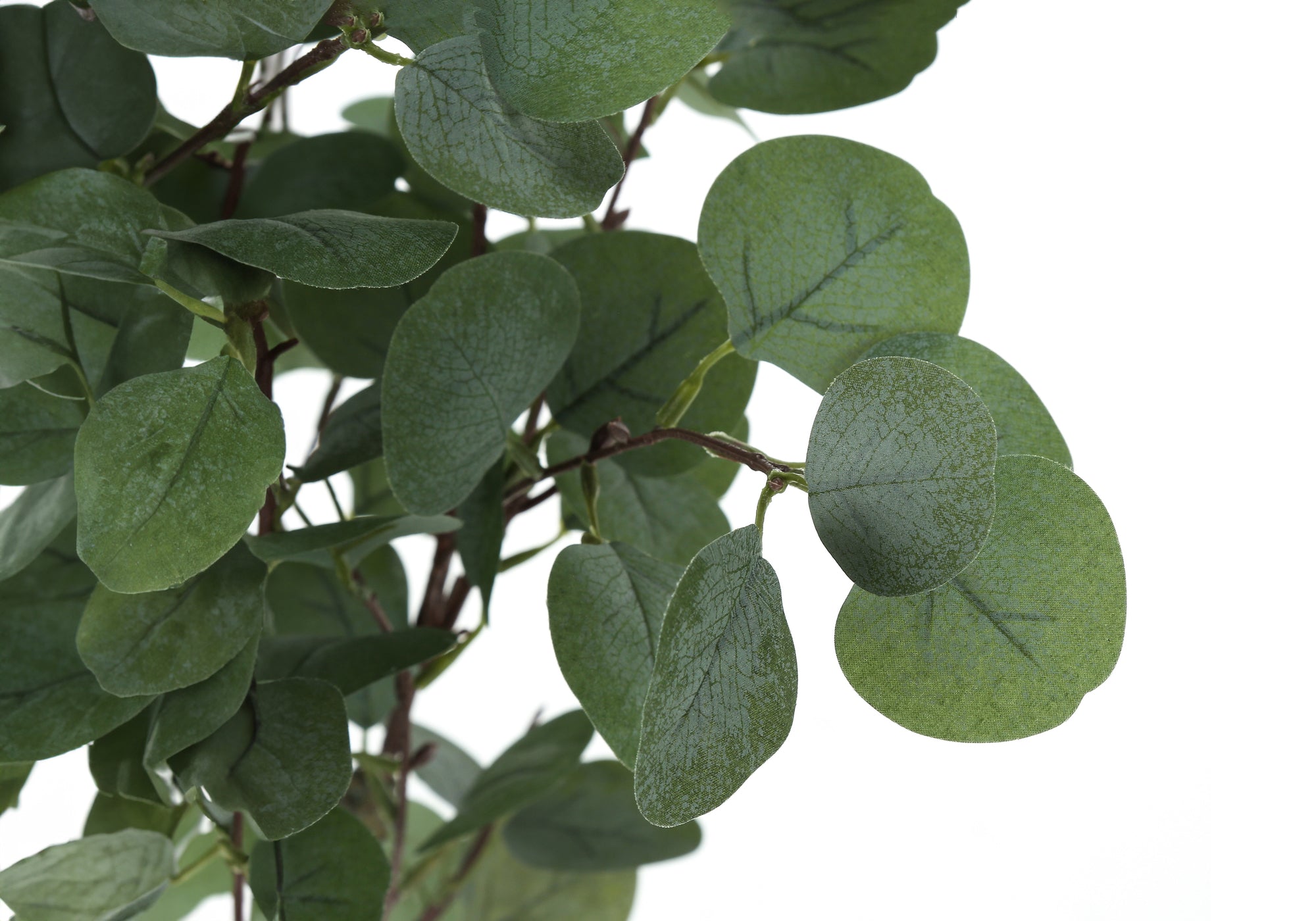 ARTIFICIAL PLANT - 46"H / INDOOR EUCALYPTUS TREE/ 5" POT # I 9518