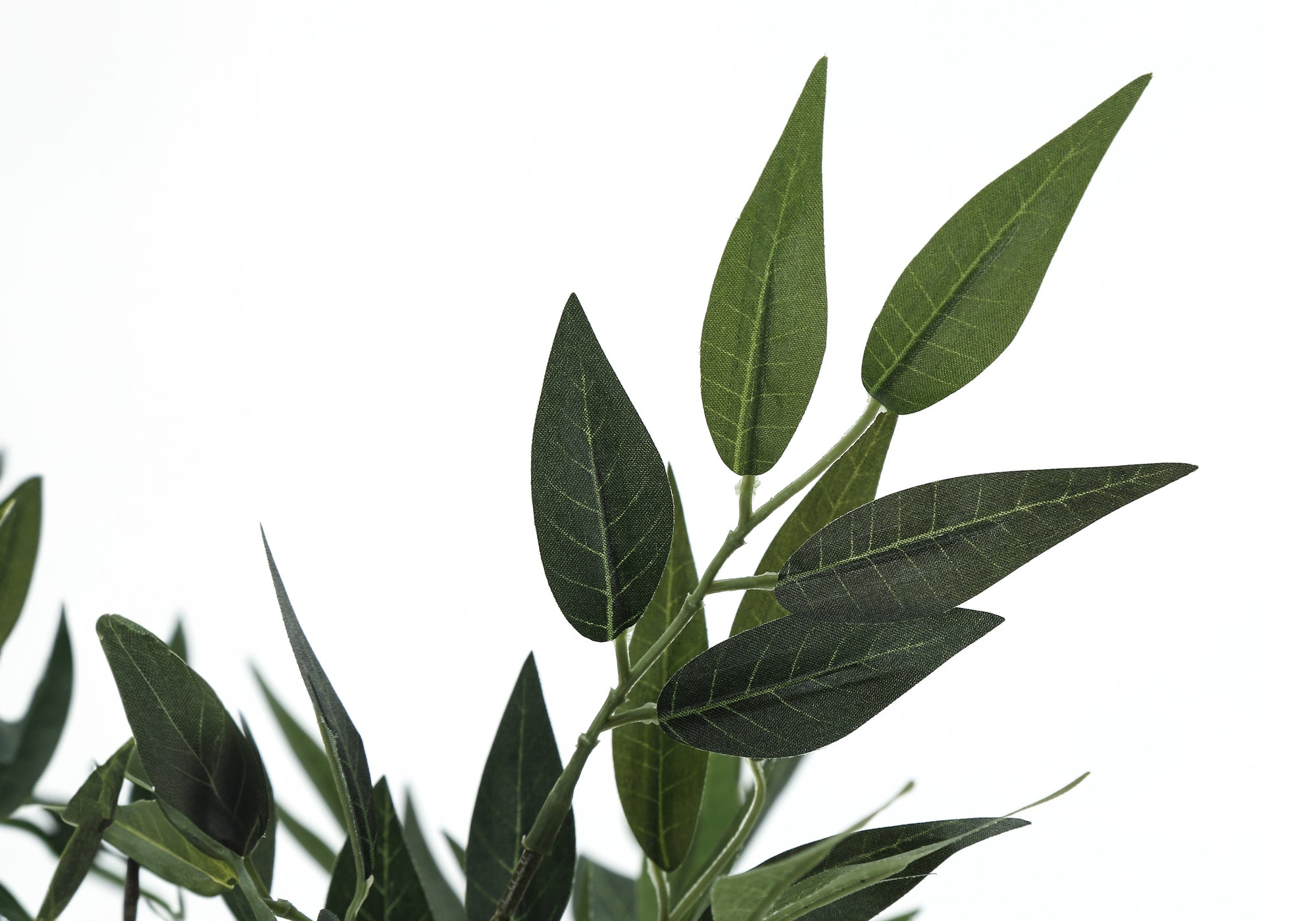 ARTIFICIAL PLANT – 47"H / INDOOR ACACIA TREE IN A 5" POT # I 9520