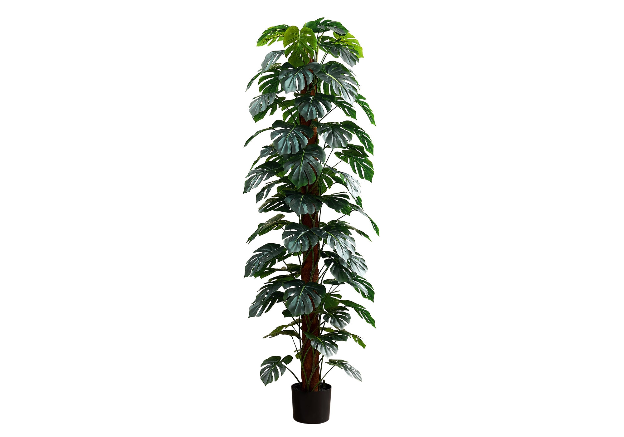 PLANTE ARTIFICIELLE – 211 cm H / ARBRE MONSTERA D'INTÉRIEUR / POT DE 20 cm N° I 9521