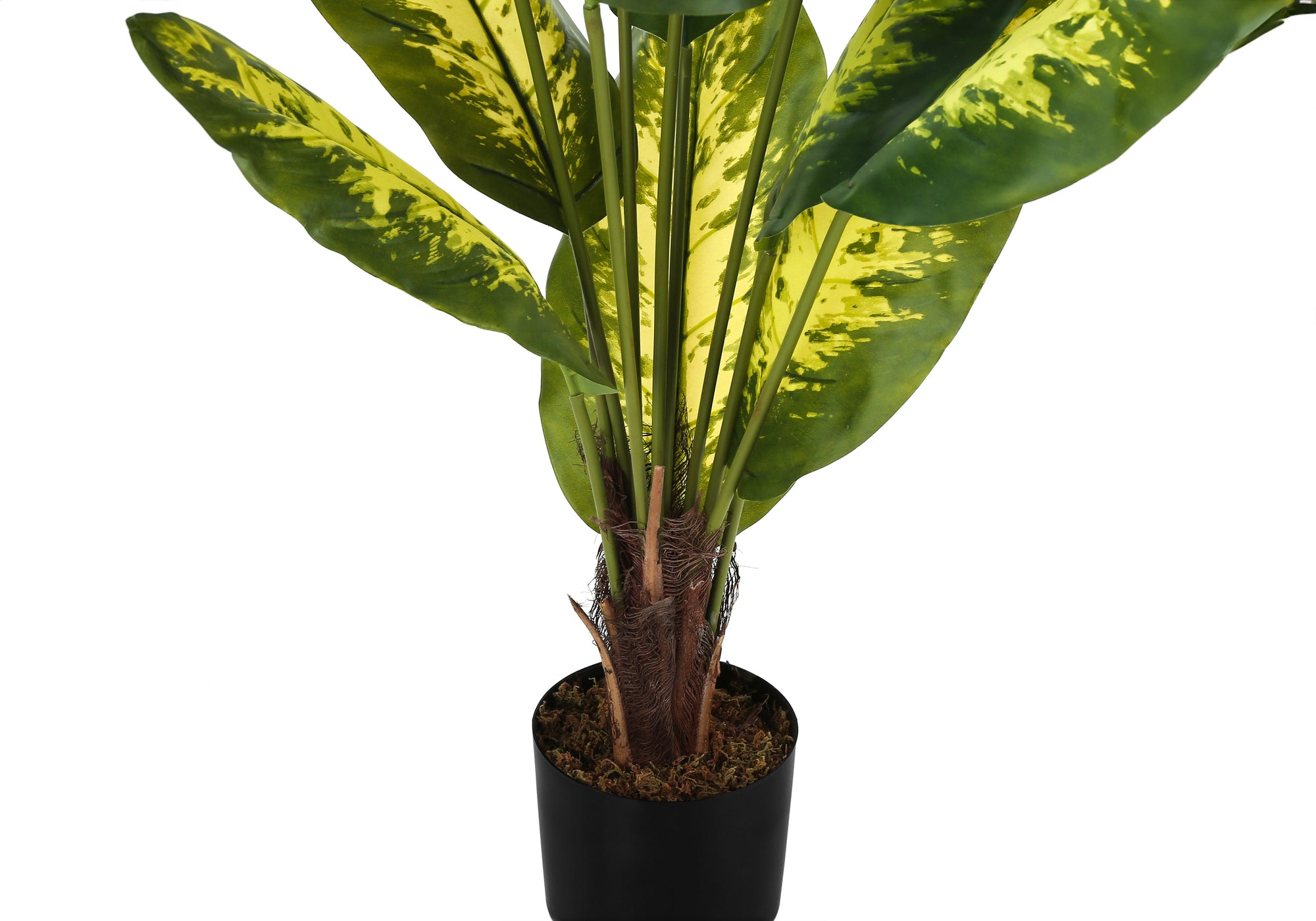 ARTIFICIAL PLANT – 47"H / INDOOR EVERGREEN IN A 5" POT # I 9535
