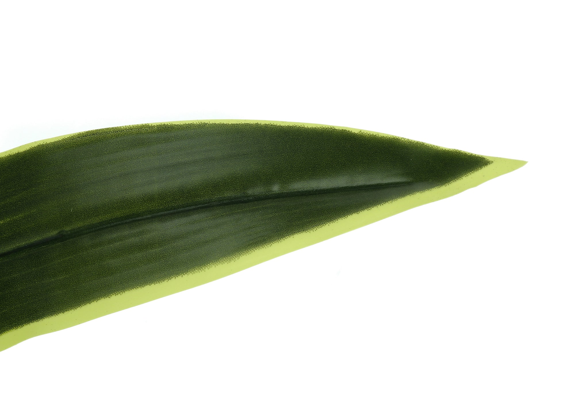 ARTIFICIAL PLANT – 47"H / INDOOR DRACAENA IN A 5" POT # I 9542