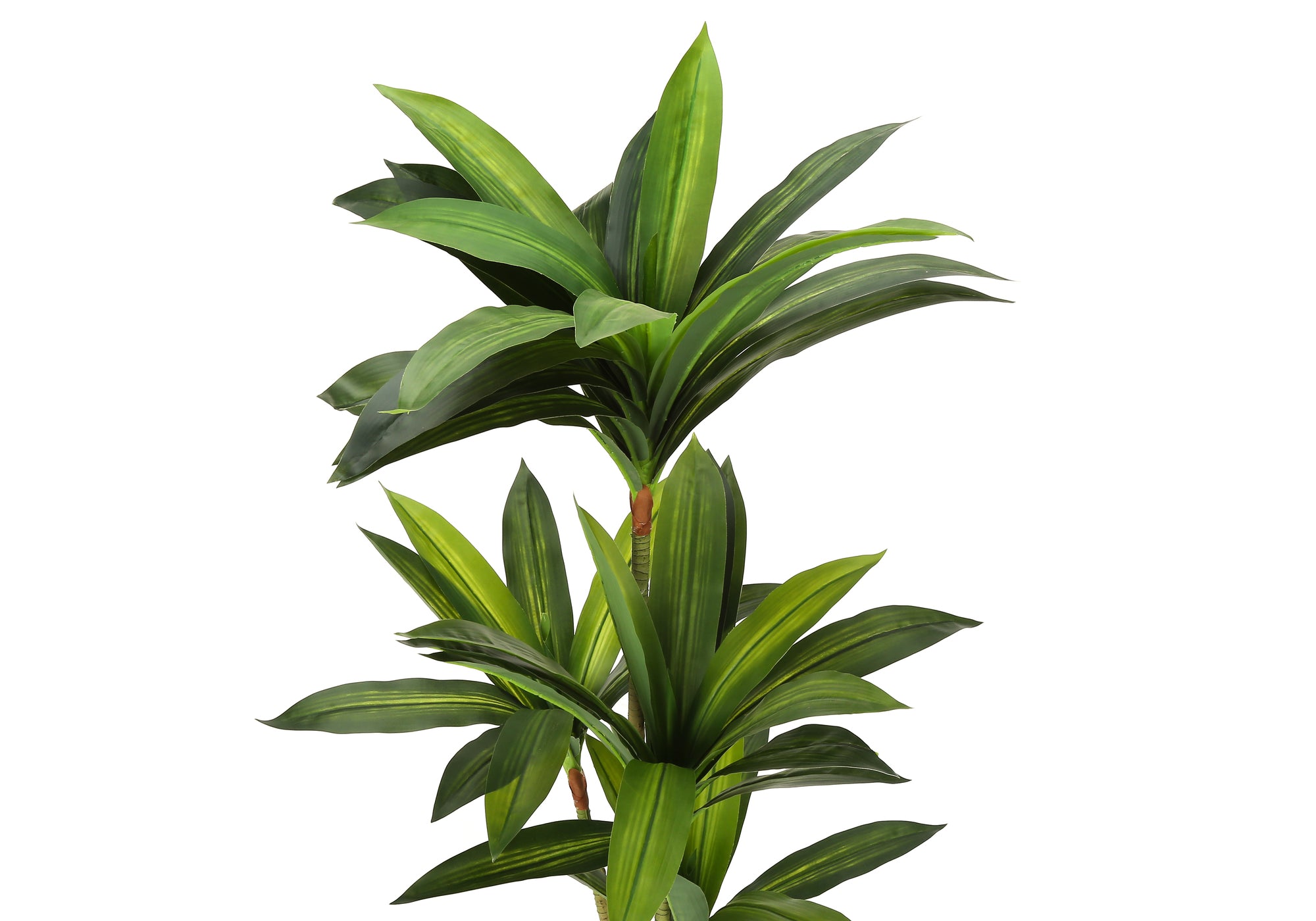 ARTIFICIAL PLANT – 51"H / INDOOR DRACAENA IN A 5" POT # I 9543