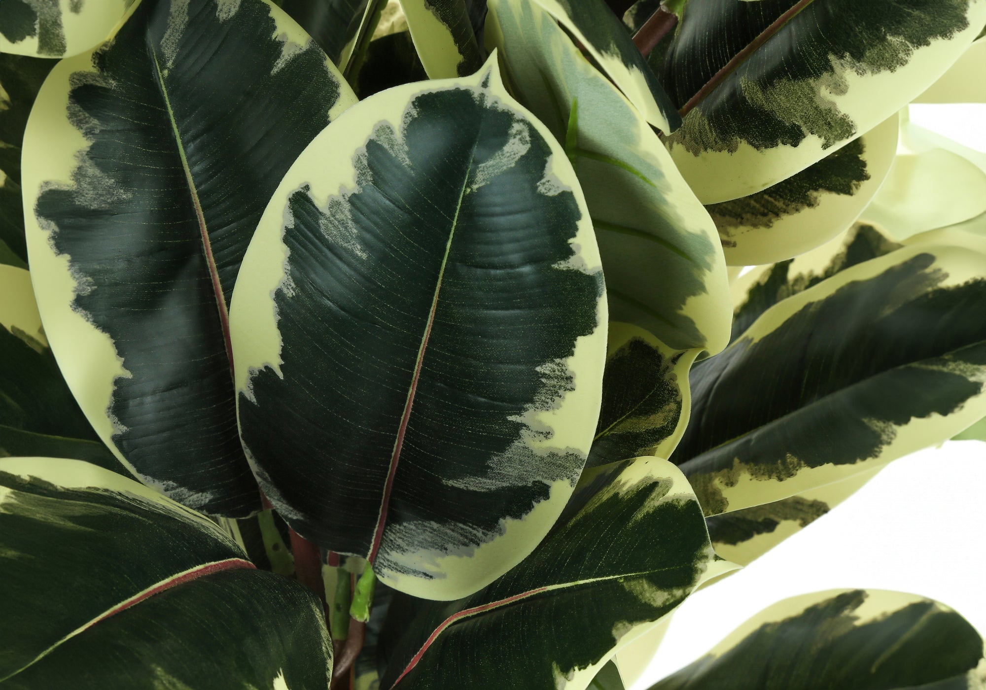 PLANTE ARTIFICIELLE – 119 cm H / CHÊNE D'INTÉRIEUR EN POT DE 13 cm # I 9544