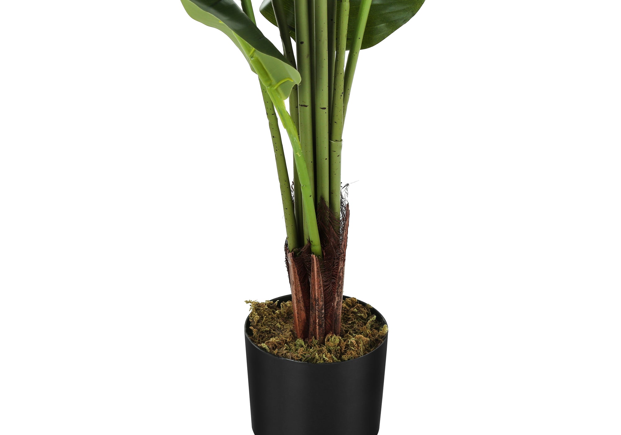 ARTIFICIAL PLANT - 59"H / INDOOR STRELITZIA IN A 5" POT # I 9545