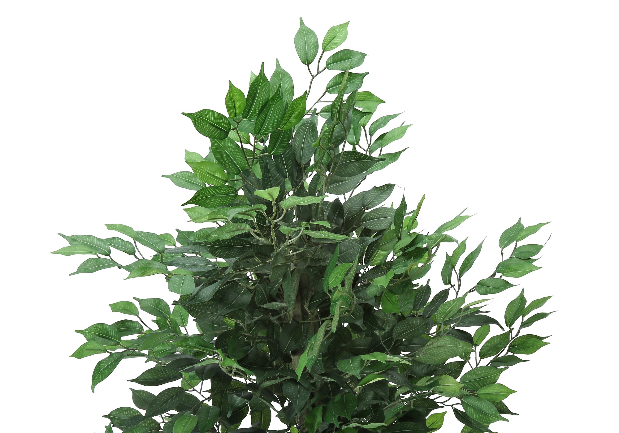 PLANTE ARTIFICIELLE – 147 cm H / FICUS D'INTÉRIEUR EN POT DE 15 cm N° I 9564