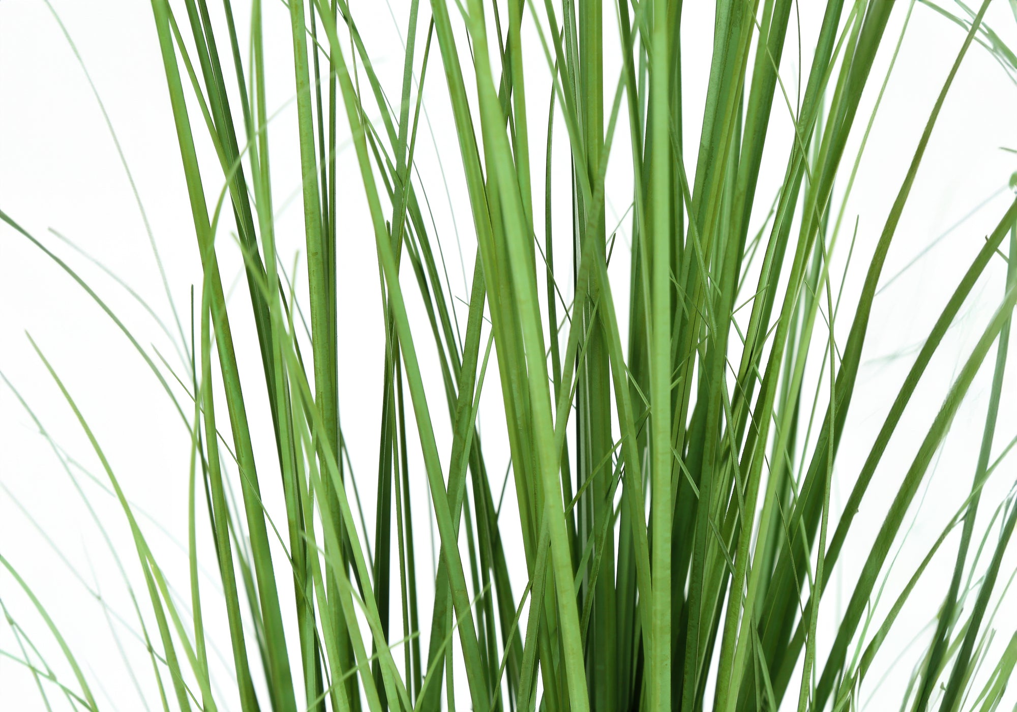 ARTIFICIAL PLANT - 47"H / INDOOR GRASS IN A 5" POT # I 9565