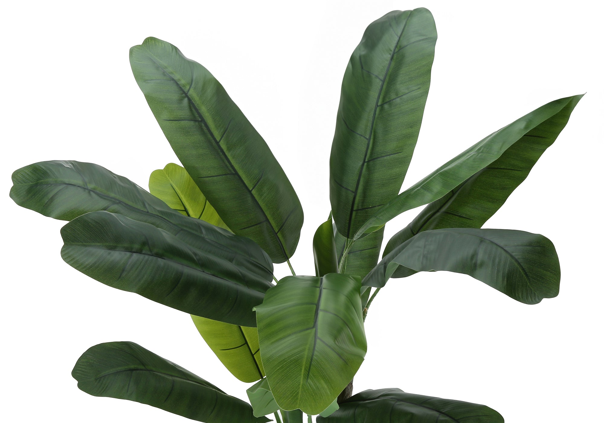 ARTIFICIAL PLANT – 55"H / INDOOR BANANA TREE IN A 6" POT # I 9568
