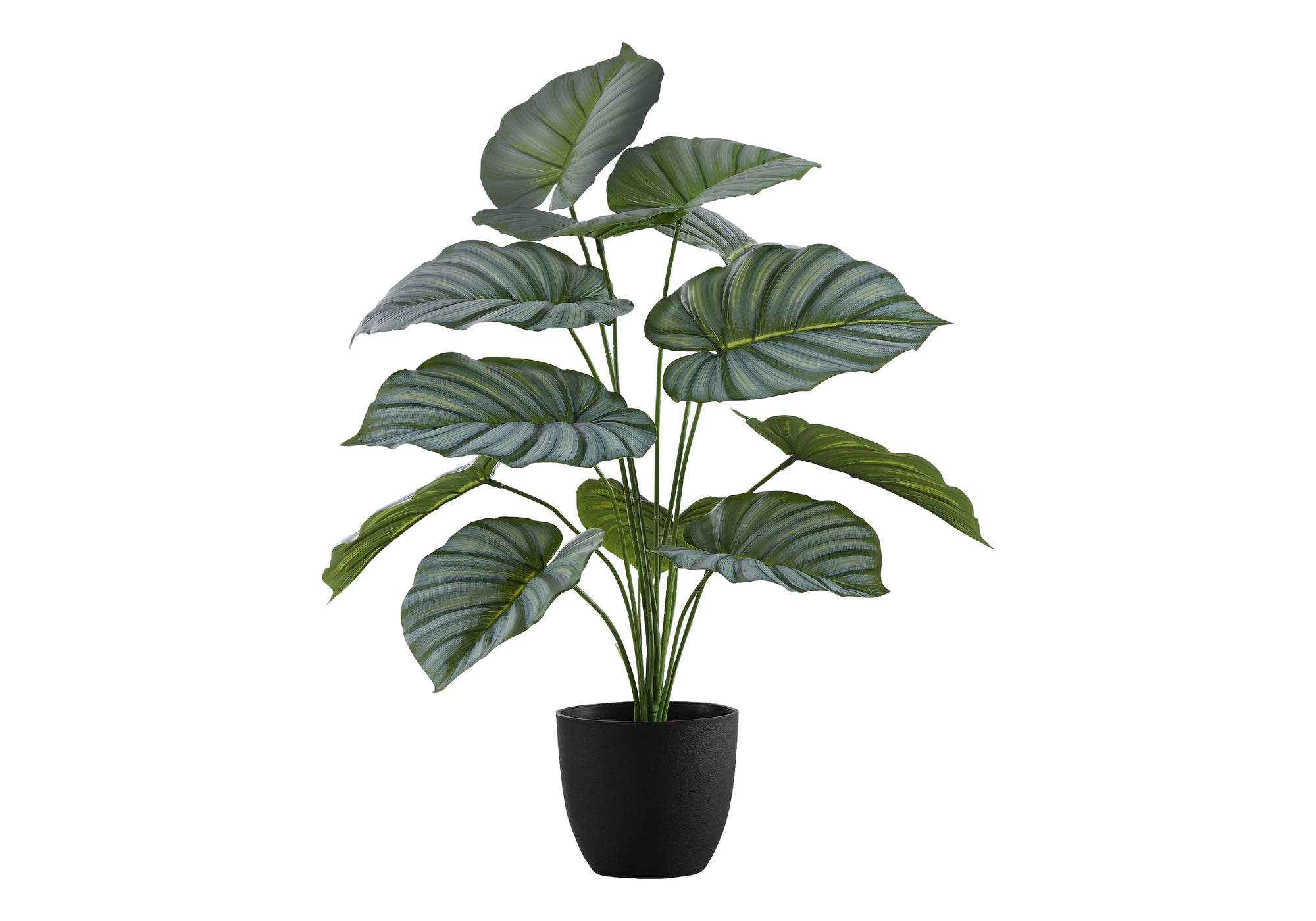 PLANTE ARTIFICIELLE – 61 cm H / CALATHEA D'INTÉRIEUR EN POT DE 13 cm # I 9577
