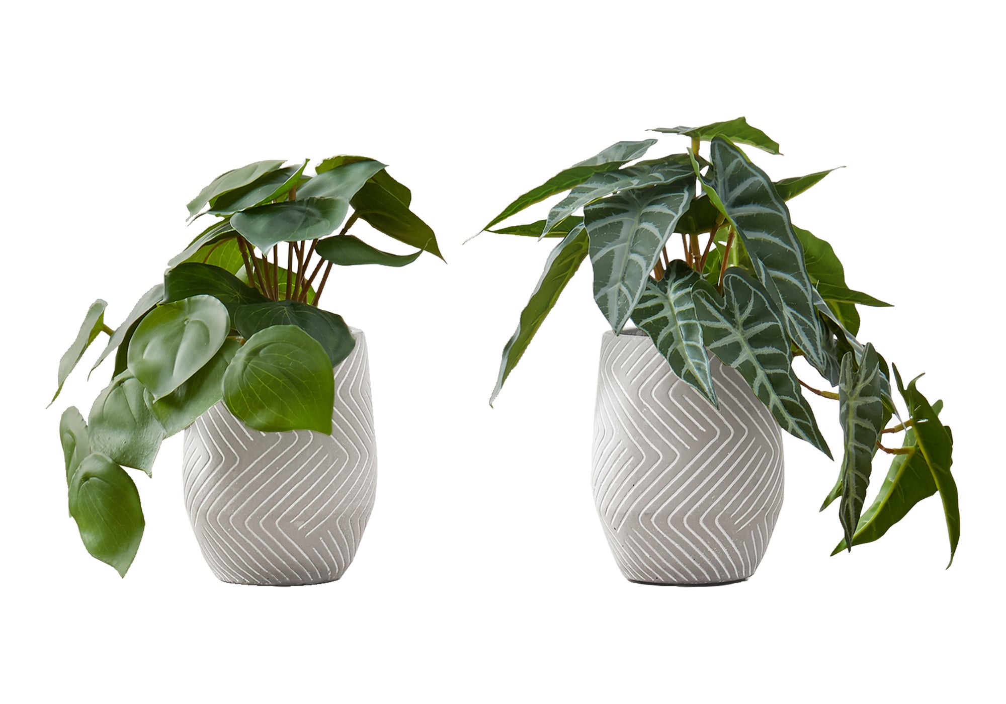 ARTIFICIAL PLANT – 2PCS / 8"H ALOCASIA / 5" CEMENT POT # I 9582