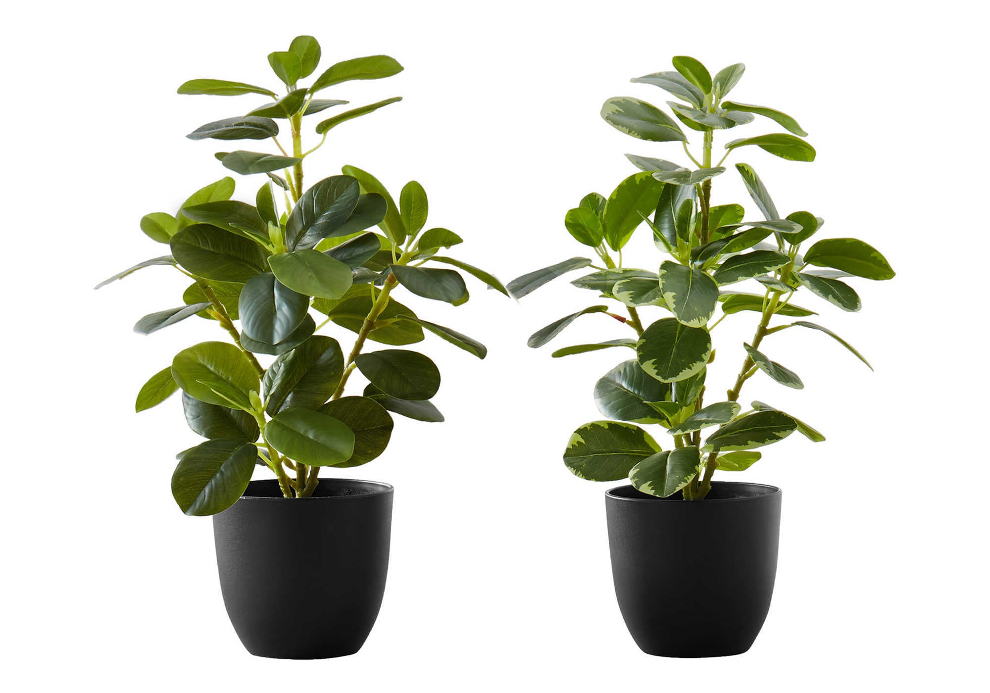 PLANTE ARTIFICIELLE – 2 PIÈCES / 35,5 CM DE H FICUS ELASTICA EN POT DE 10 CM # I 9585