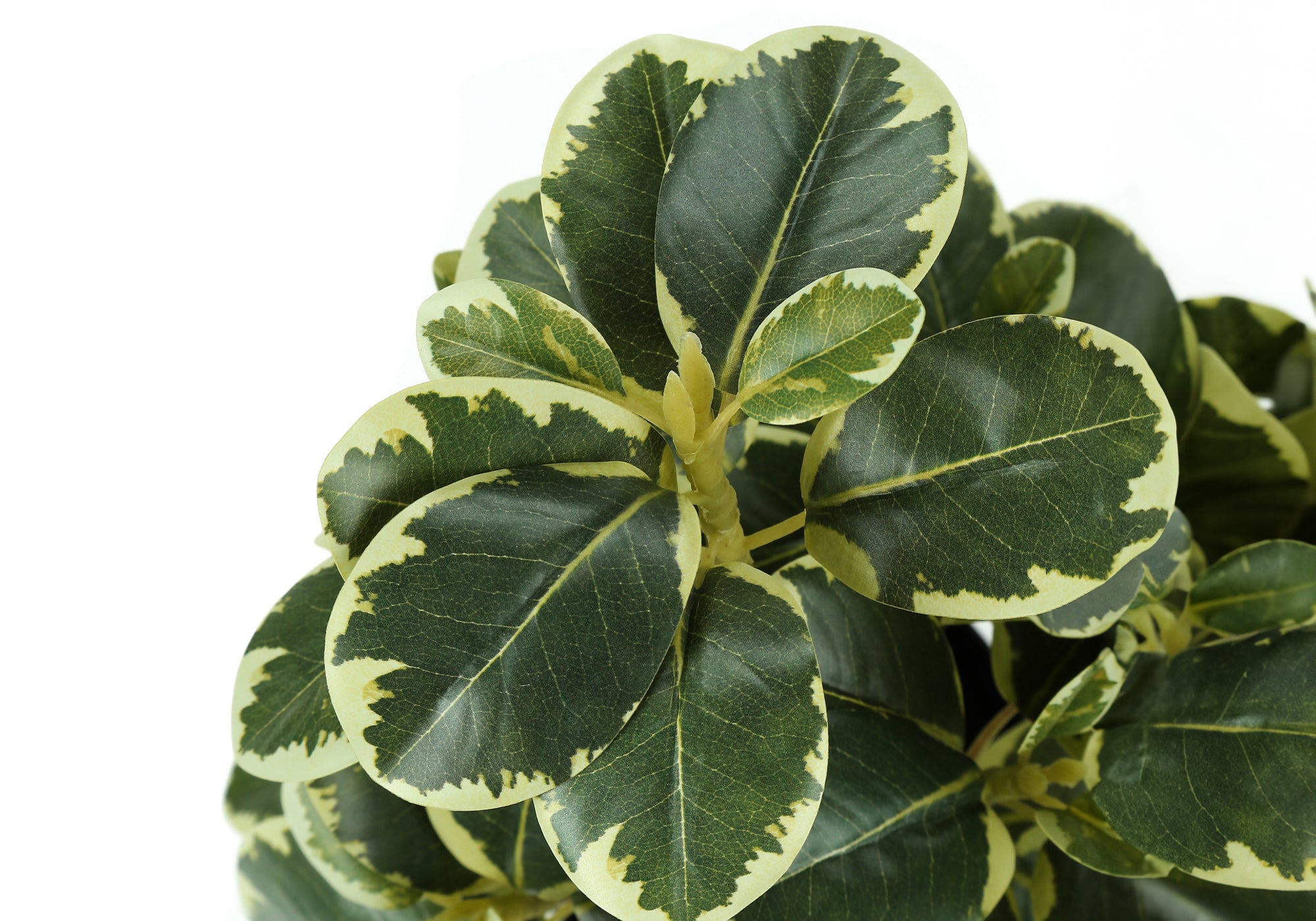 ARTIFICIAL PLANT - 2PCS / 14"H FICUS ELASTICA IN 4" POT # I 9585