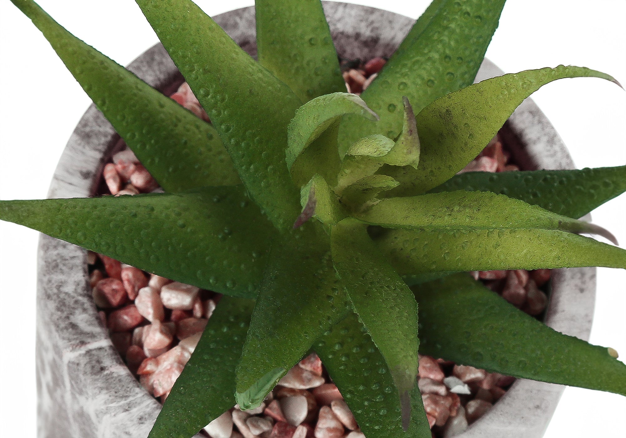 PLANTE ARTIFICIELLE – 2 PIÈCES / SUCCULENTE DE 18 CM DE H DANS UN POT EN CIMENT DE 10 CM # I 9586