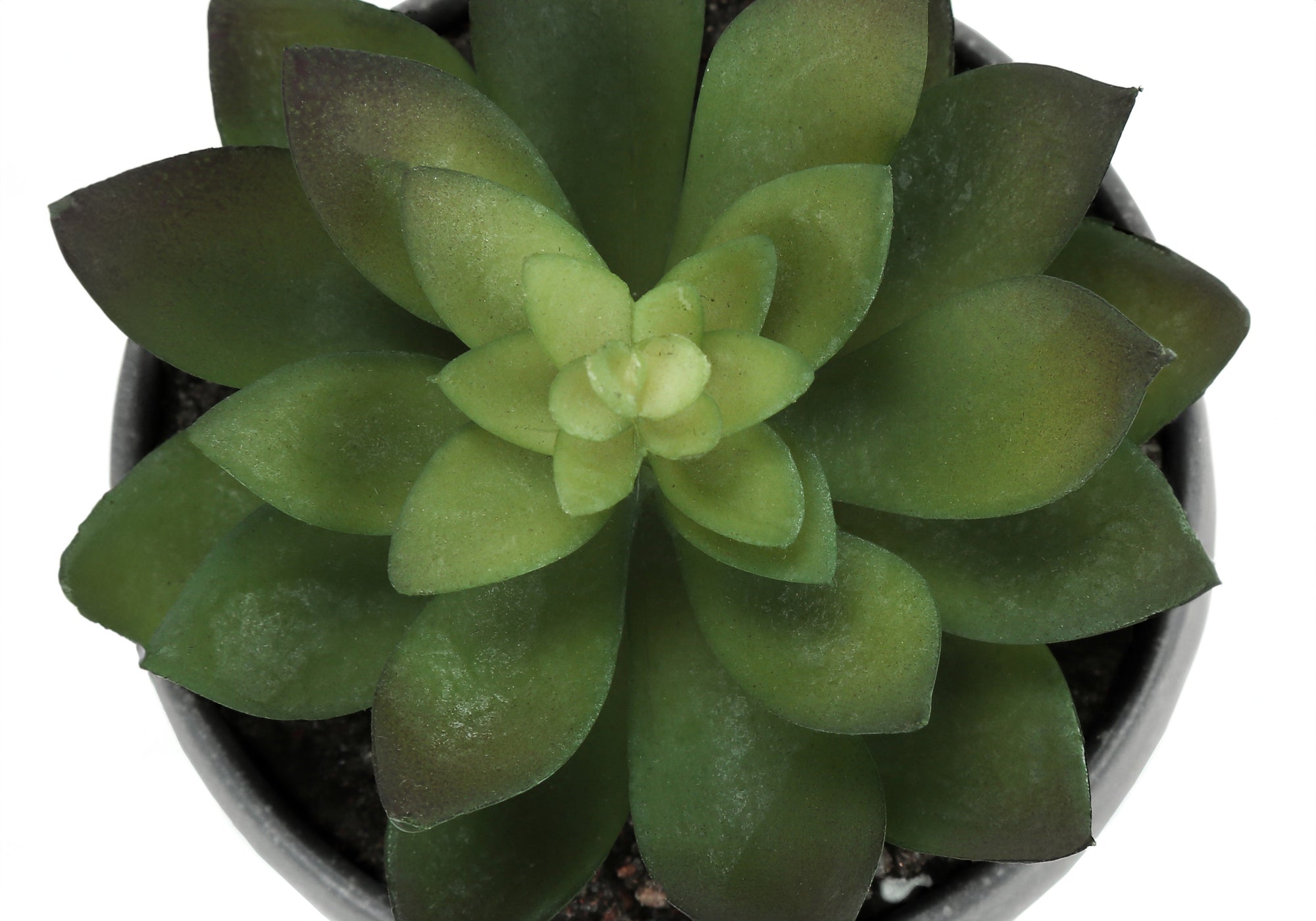 PLANTE ARTIFICIELLE – 3 PIÈCES / SUCCULENTE DE 15 CM DE H DANS UN POT GRIS DE 7,5 CM # I 9587
