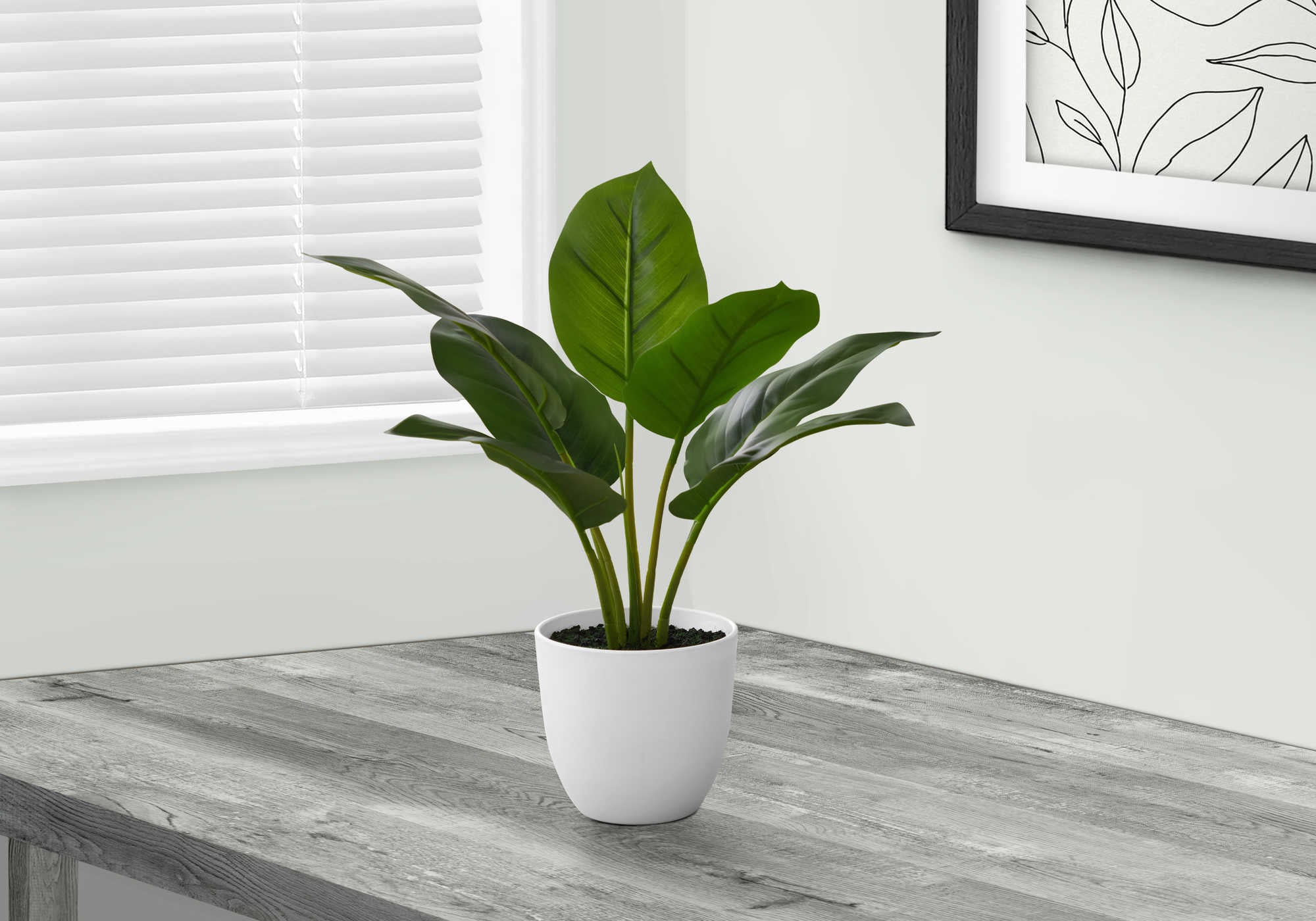 ARTIFICIAL PLANT - 17"H / INDOOR AUREUM IN A 5" POT # I 9502