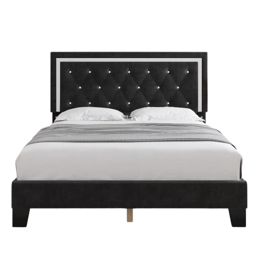 Ardenzo – Lit King Velvet – Noir