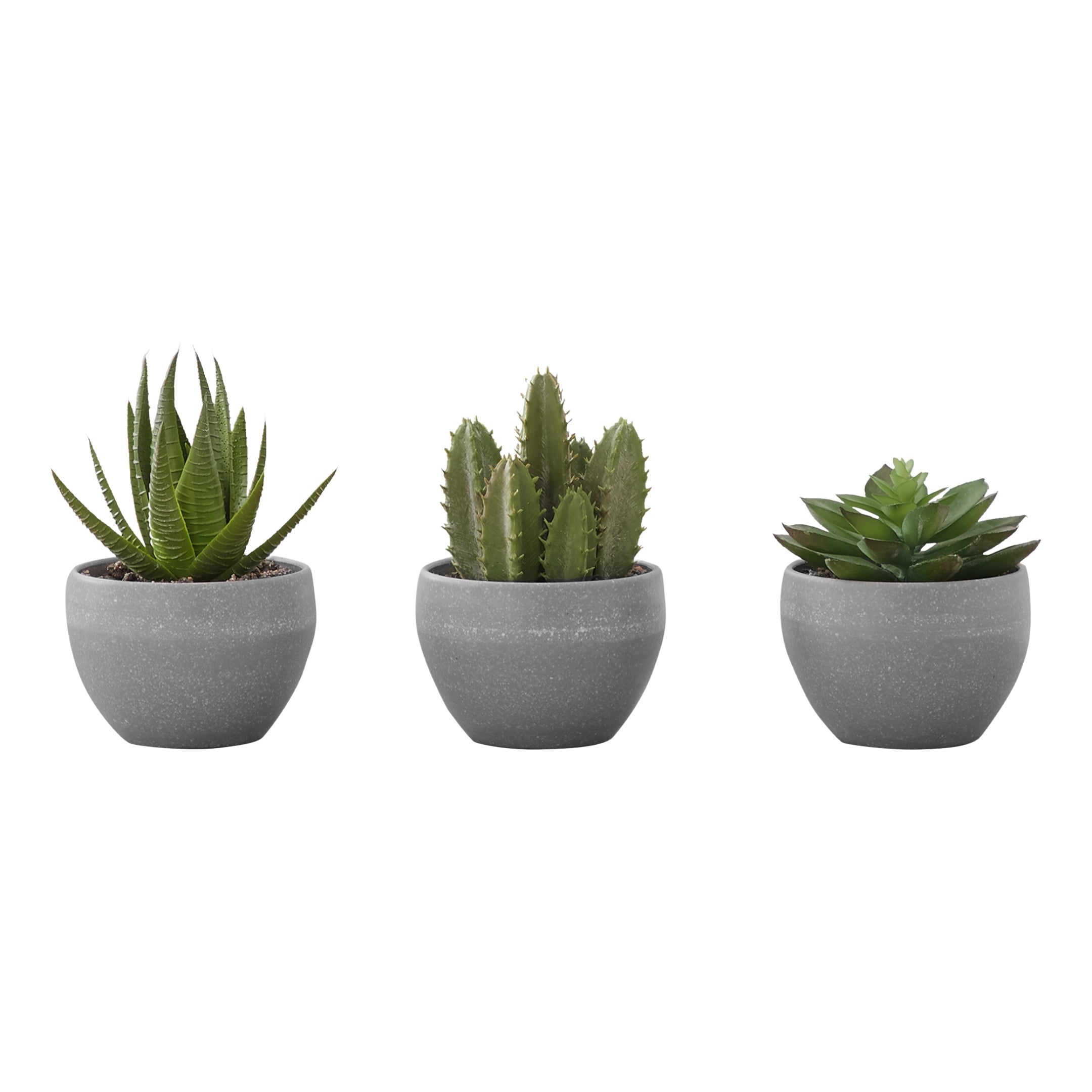 sucalo-succulentes-artificielles-gris_02