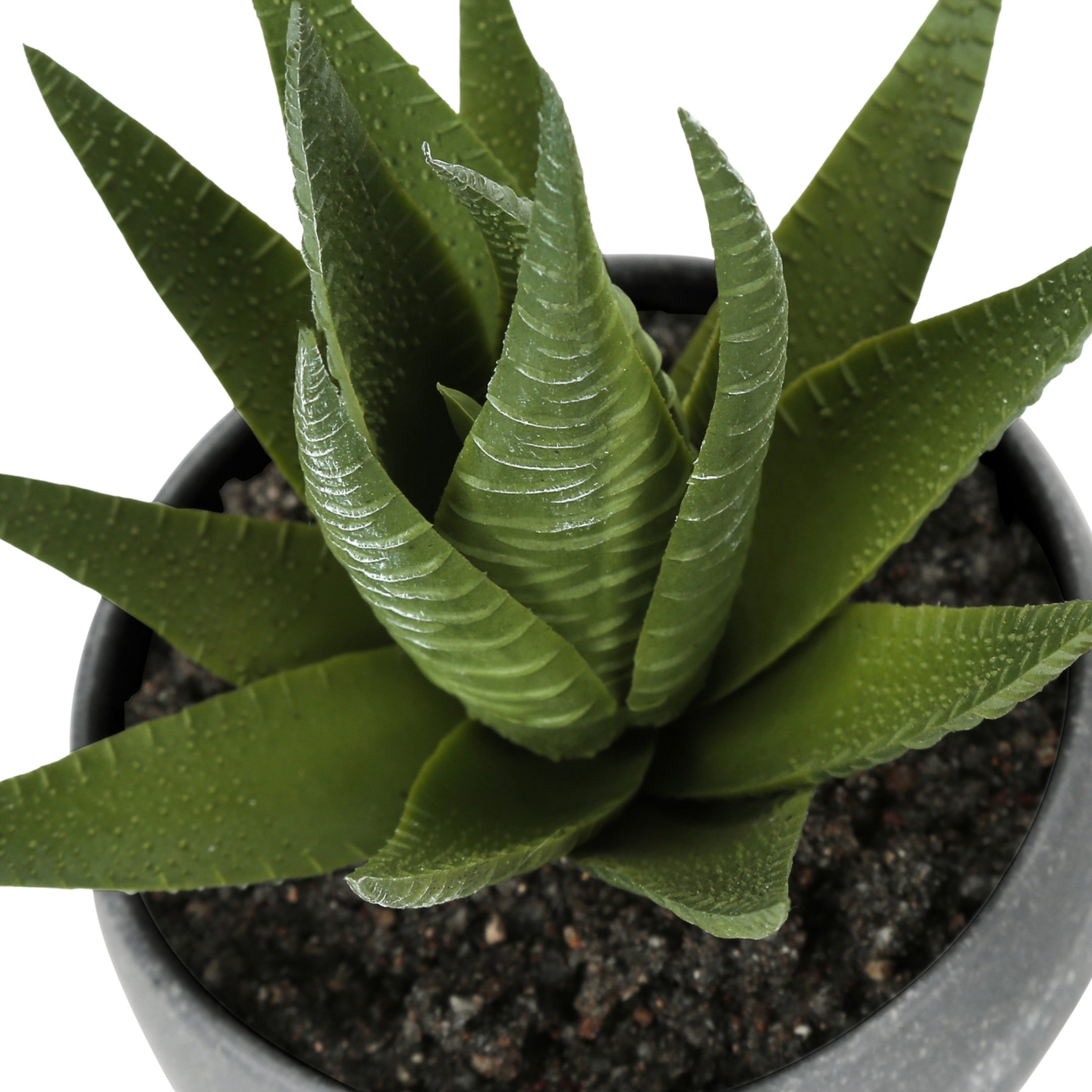 sucalo-succulentes-artificielles-gris_08