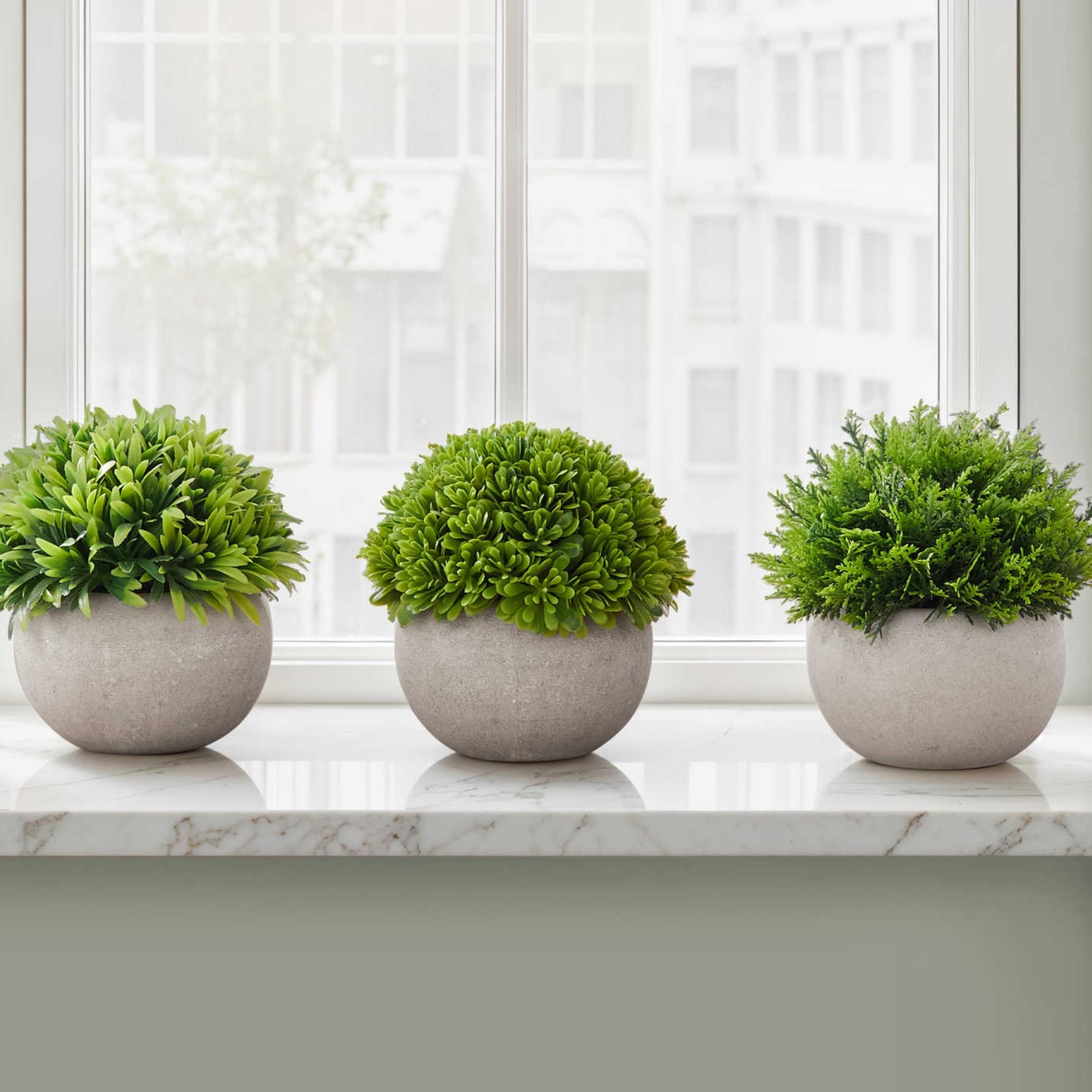verdino-plantes-artificielles-gris_01