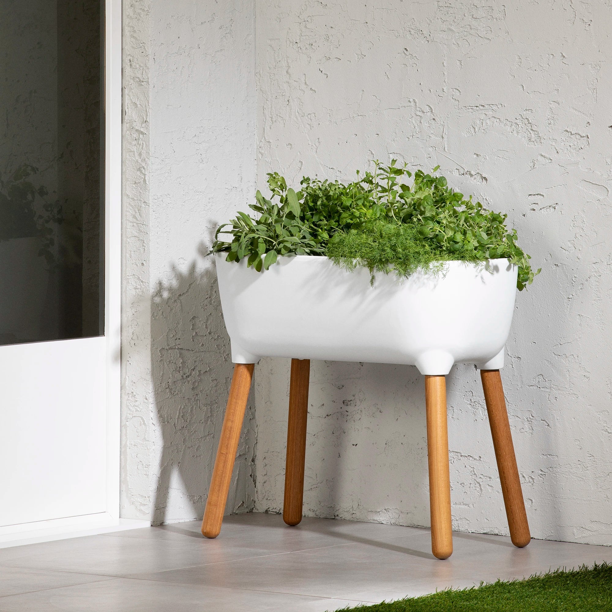 Raised Planter - Dalya