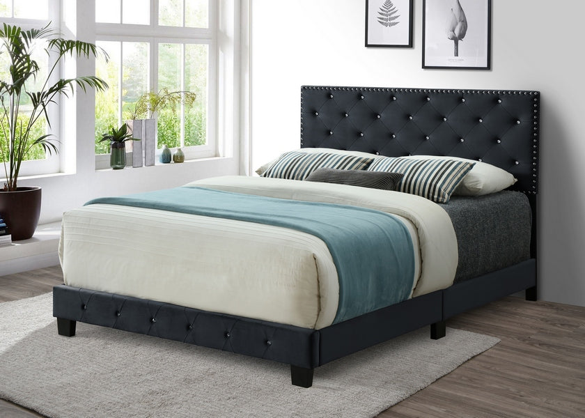 Black Velvet Bed with Nailhead - 5651