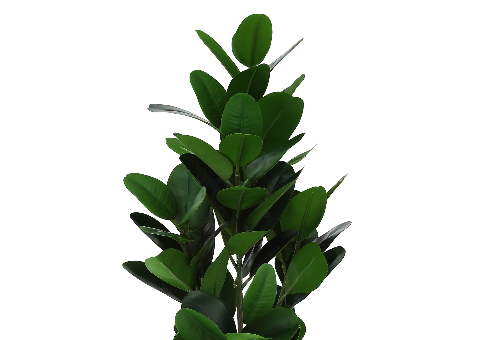 PLANTE ARTIFICIELLE - 28"H / GARCINIA D'INTÉRIEUR DANS UN POT DE 5" # I 9504