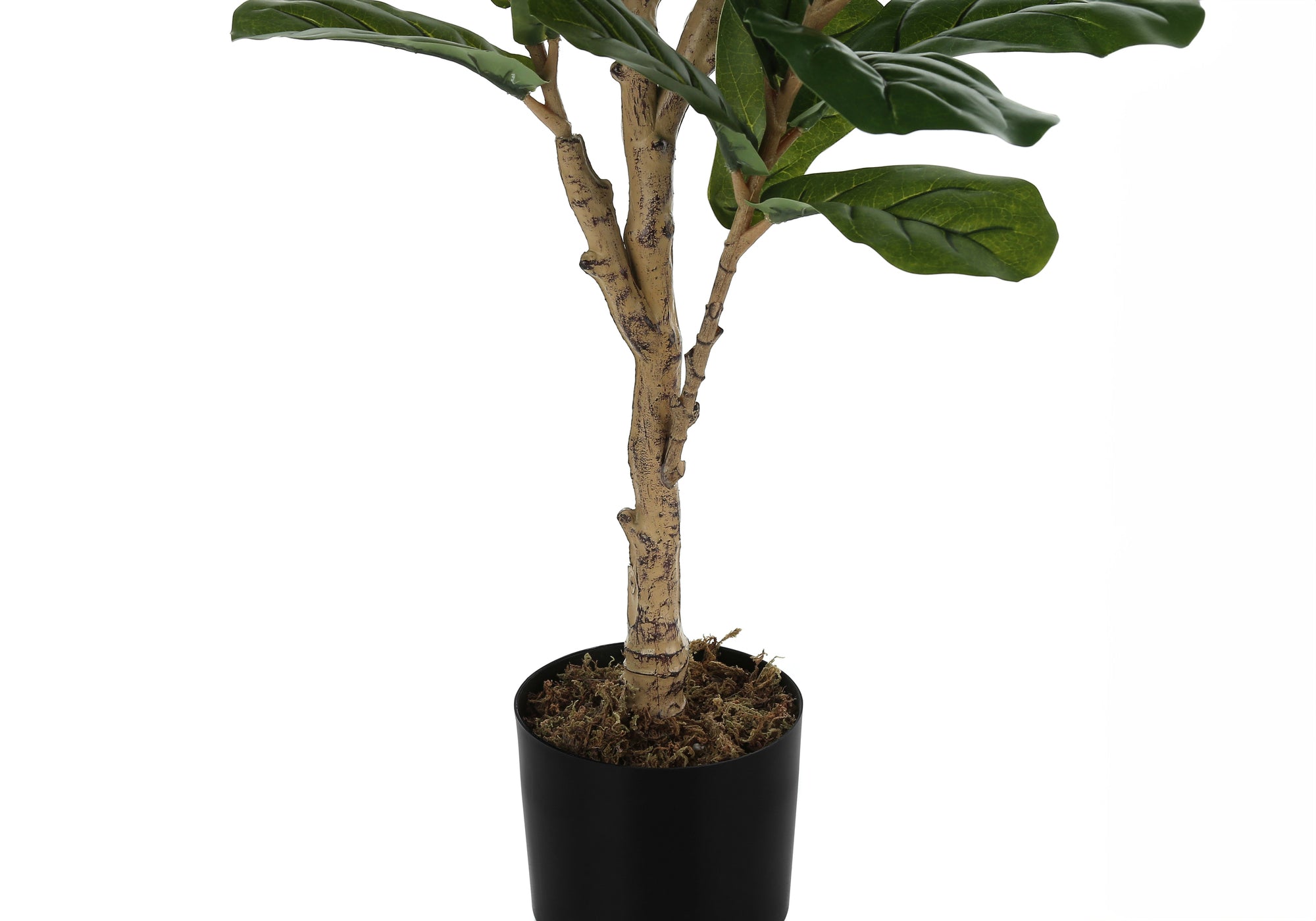 ARTIFICIAL PLANT - 47"H / INDOOR FIDDLE TREE IN A 5" POT # I 9541