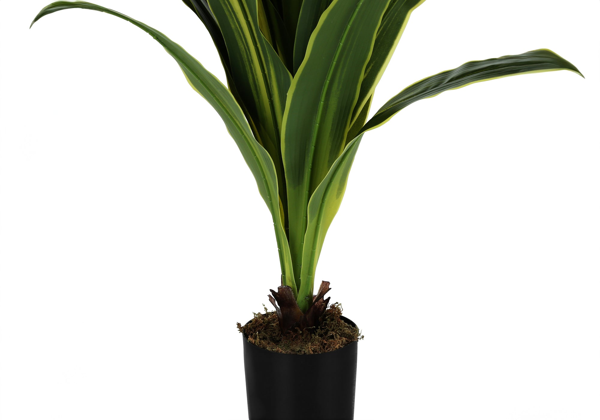 PLANTE ARTIFICIELLE - 47"H / DRACAENA D'INTÉRIEUR DANS UN POT DE 5" # I 9542