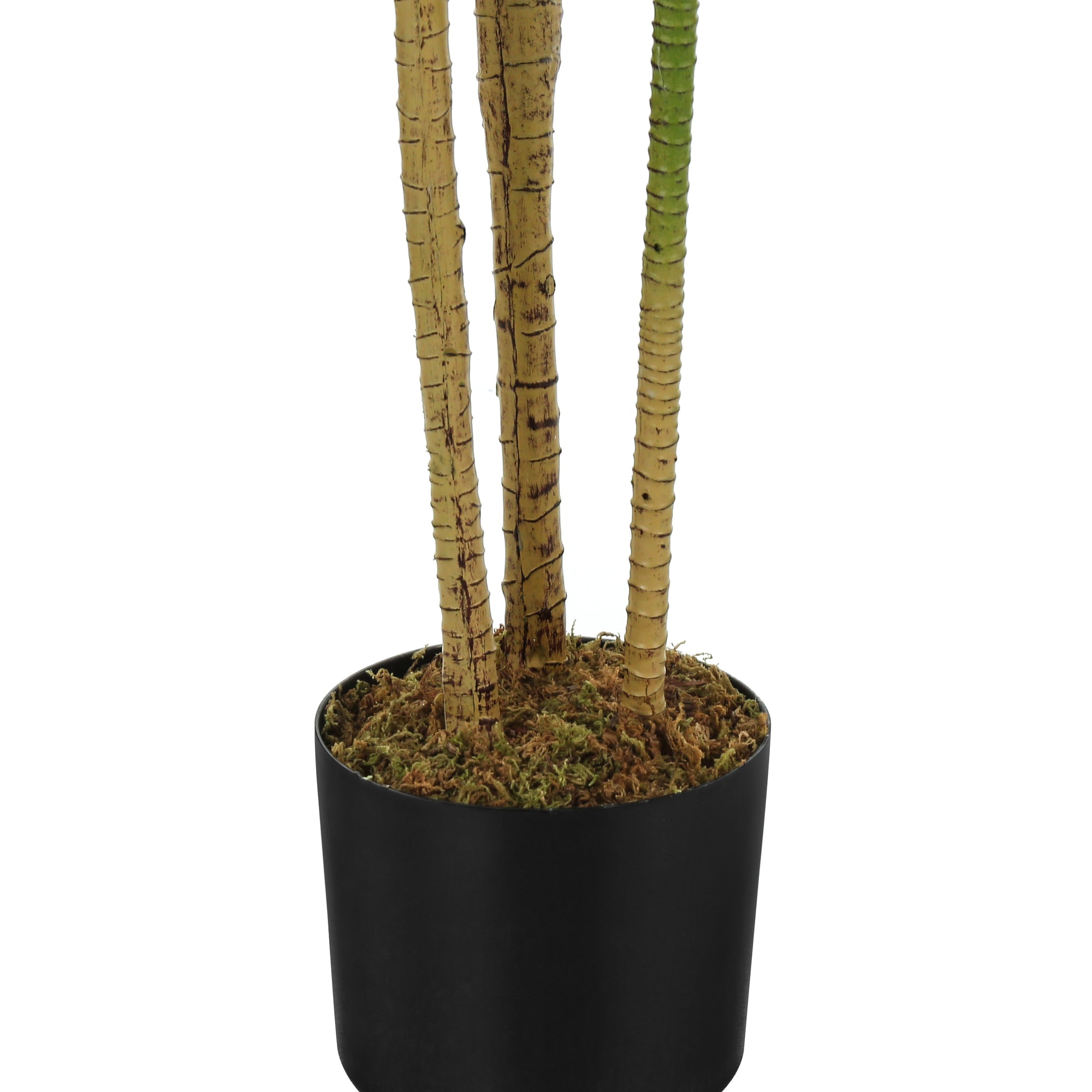 PLANTE ARTIFICIELLE - 51"H / DRACAENA D'INTÉRIEUR DANS UN POT DE 5" # I 9543