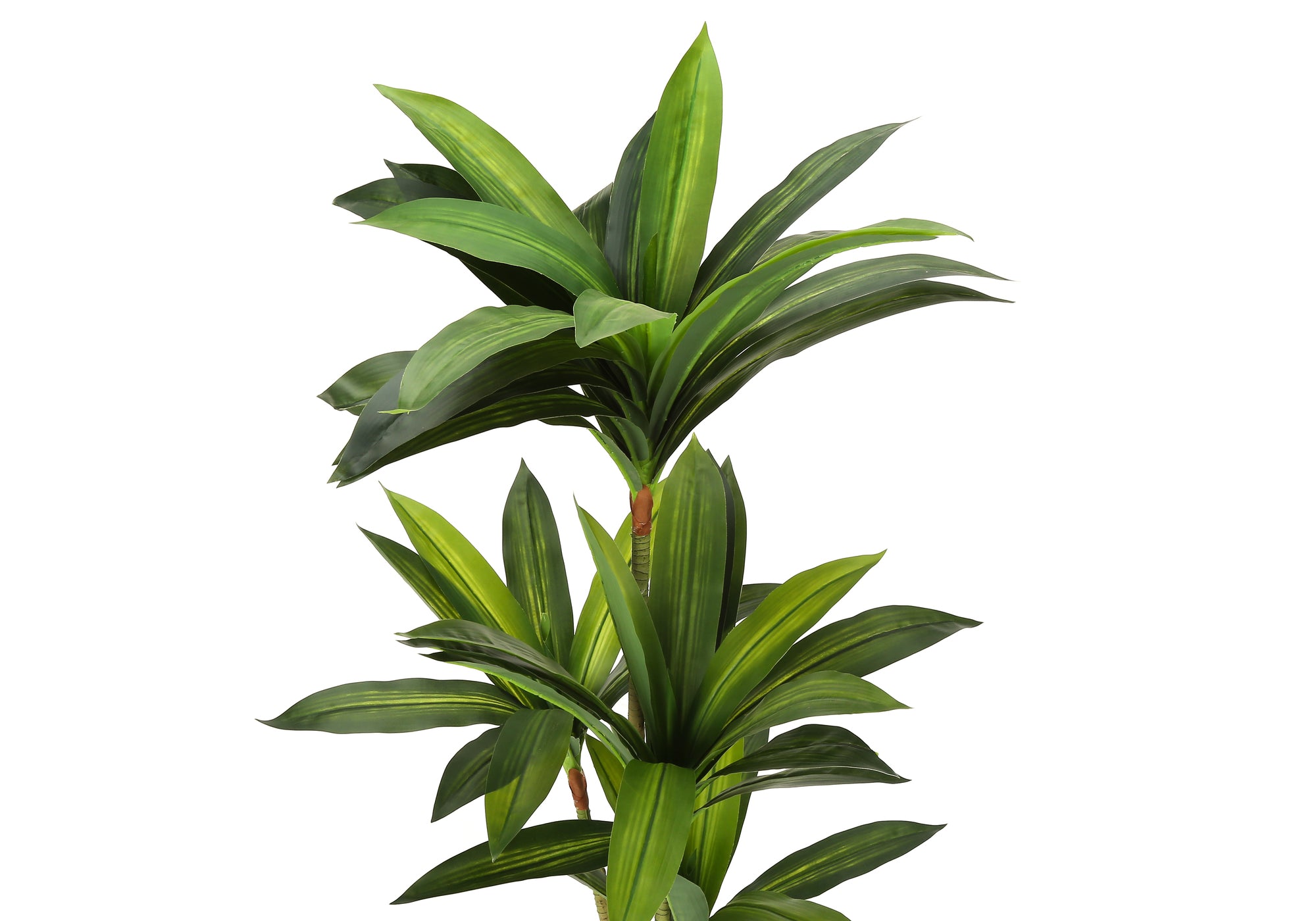 PLANTE ARTIFICIELLE - 51"H / DRACAENA D'INTÉRIEUR DANS UN POT DE 5" # I 9543