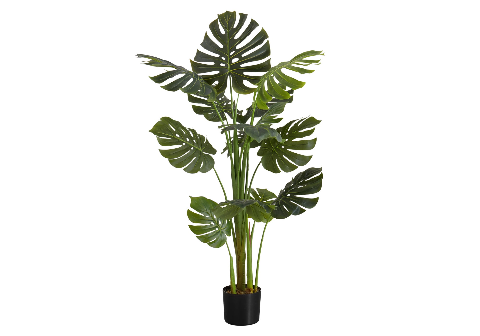 ARTIFICIAL PLANT - 55"H / INDOOR MONSTERA IN A 6" POT # I 9548