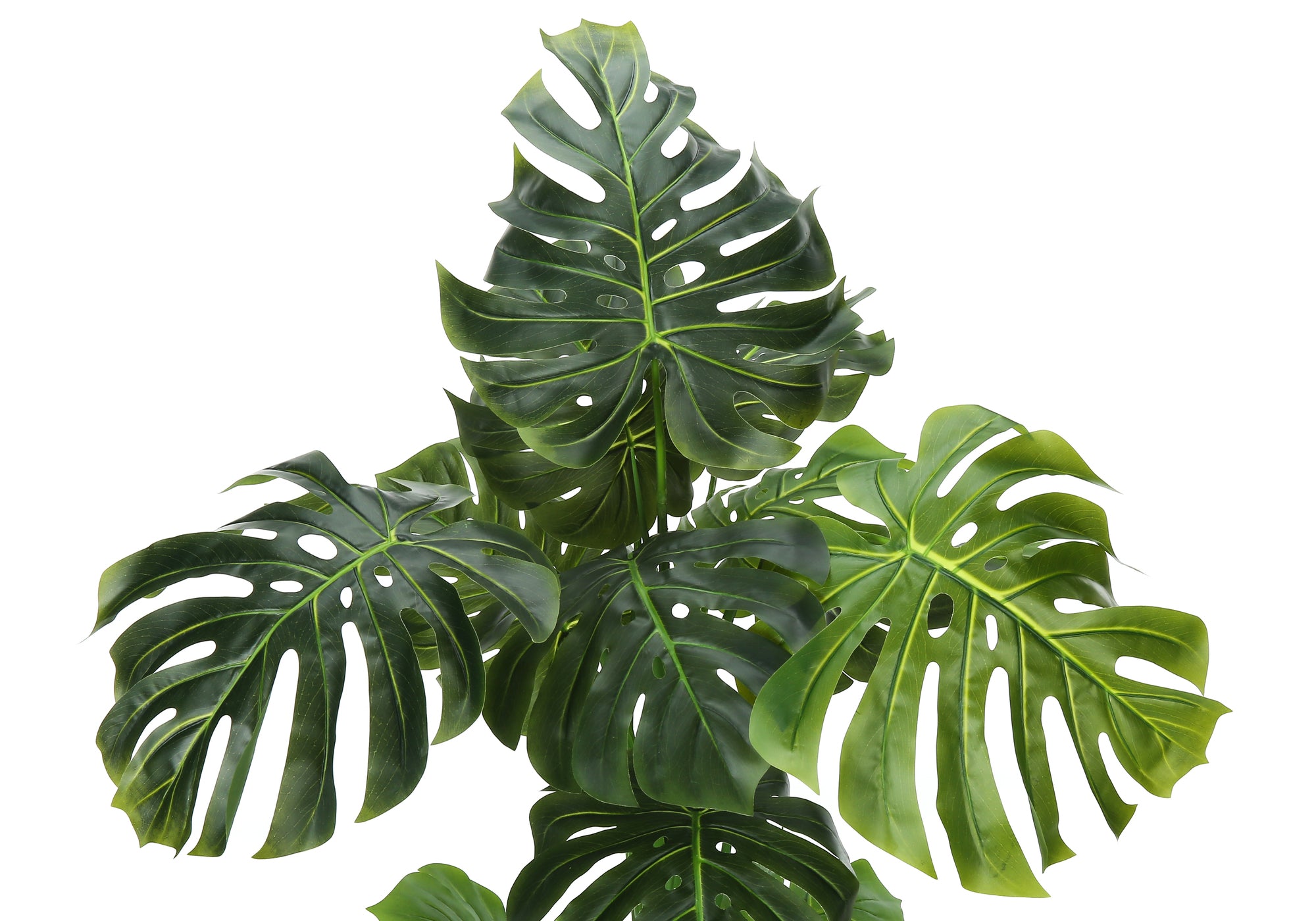 ARTIFICIAL PLANT - 55"H / INDOOR MONSTERA IN A 6" POT # I 9548