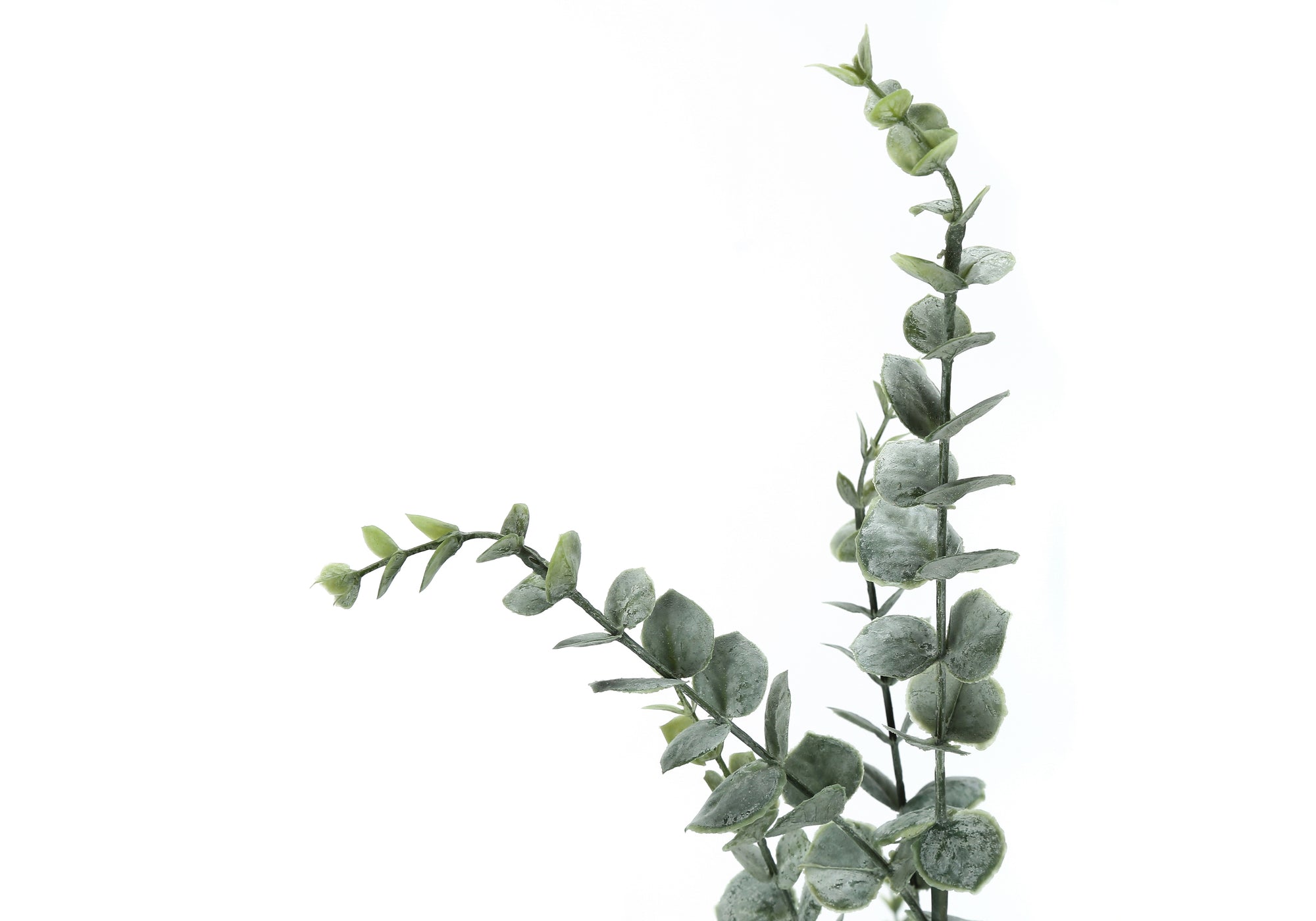 PLANTE ARTIFICIELLE - 44"H / EUCALYPTUS D'INTÉRIEUR DANS UN POT DE 5" # I 9561