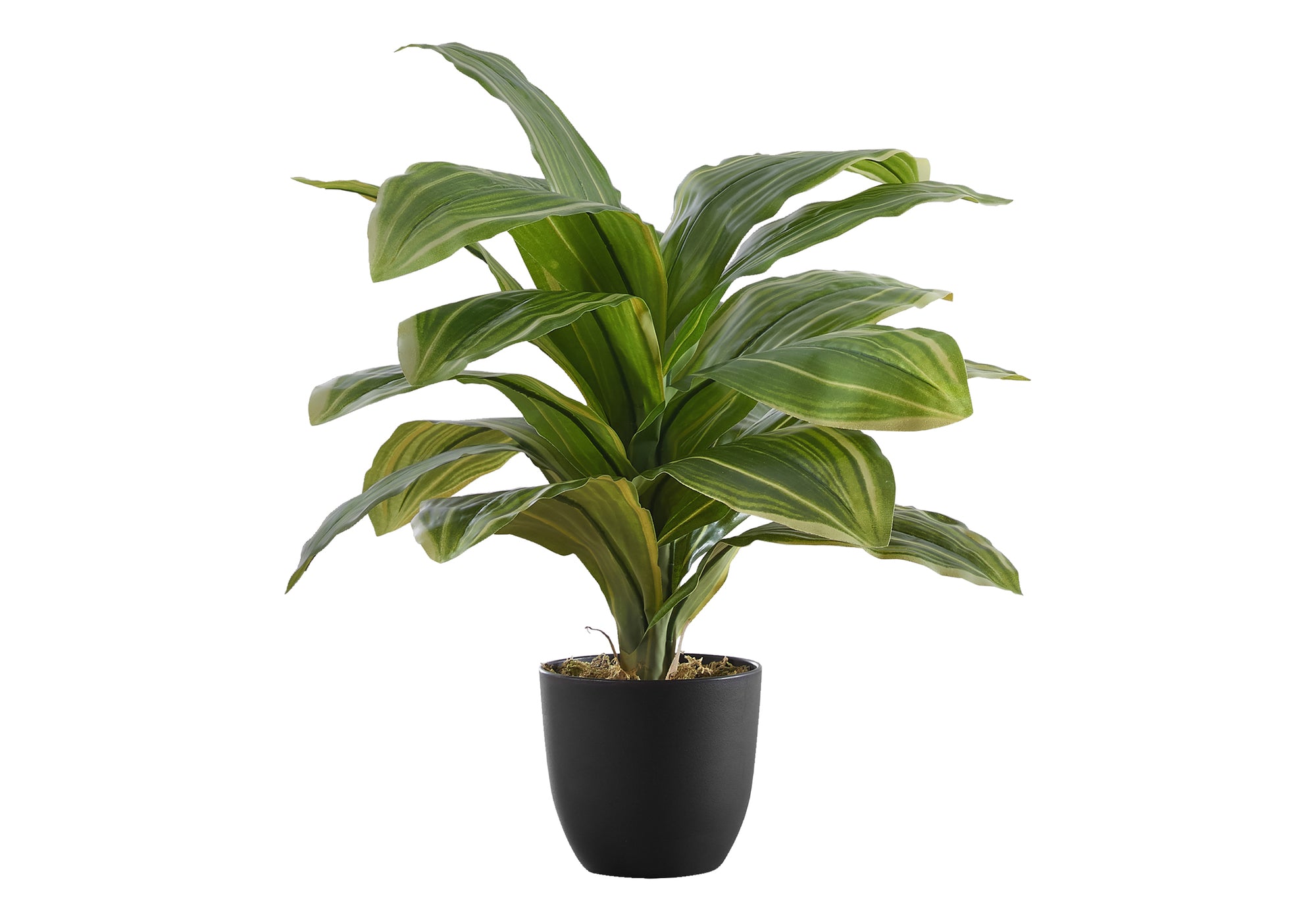 PLANTE ARTIFICIELLE - 17"H / DRACAENA D'INTÉRIEUR DANS UN POT DE 4" # I 9573