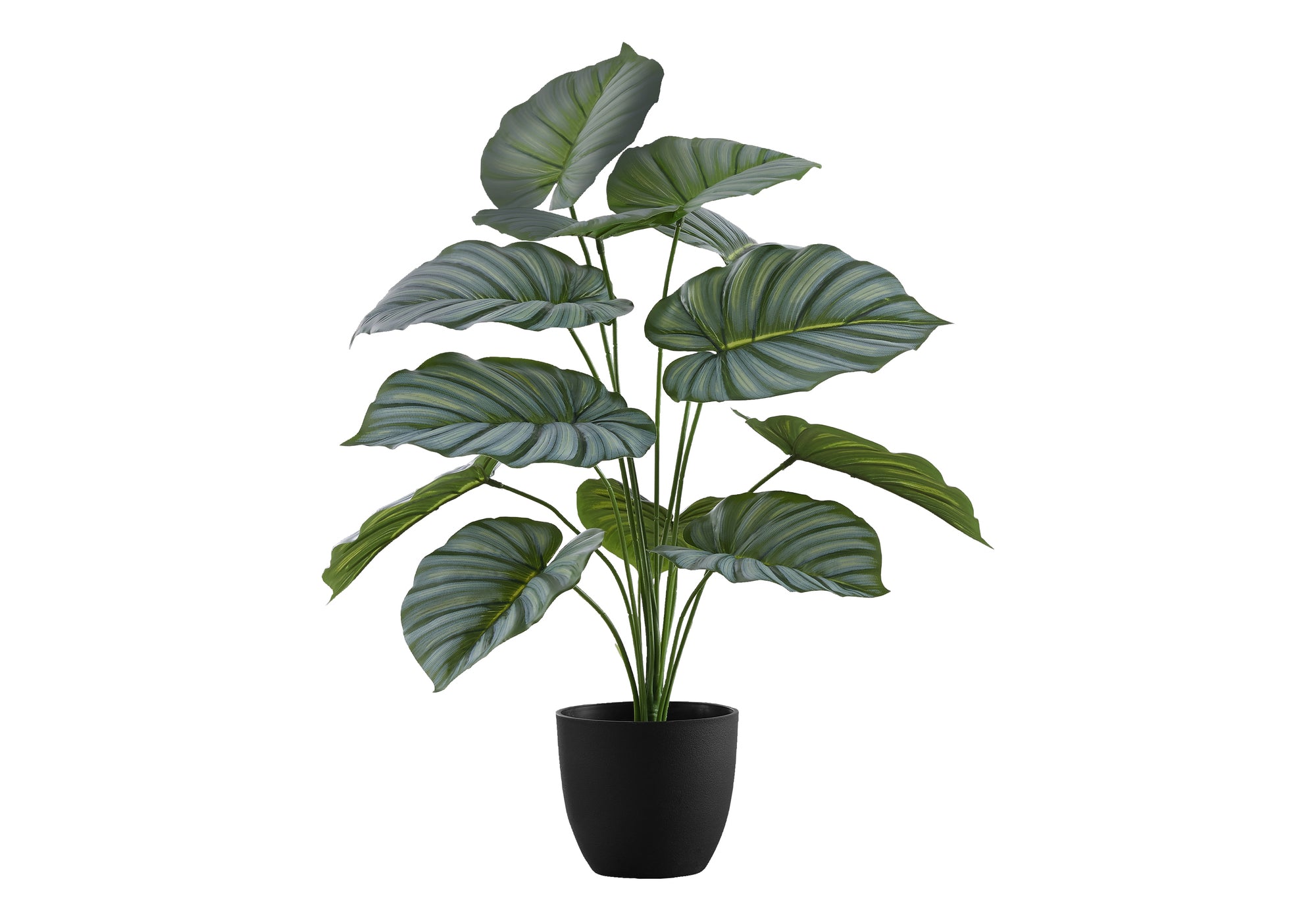 PLANTE ARTIFICIELLE - 24"H / CALATHEA D'INTÉRIEUR DANS UN POT DE 5" # I 9577