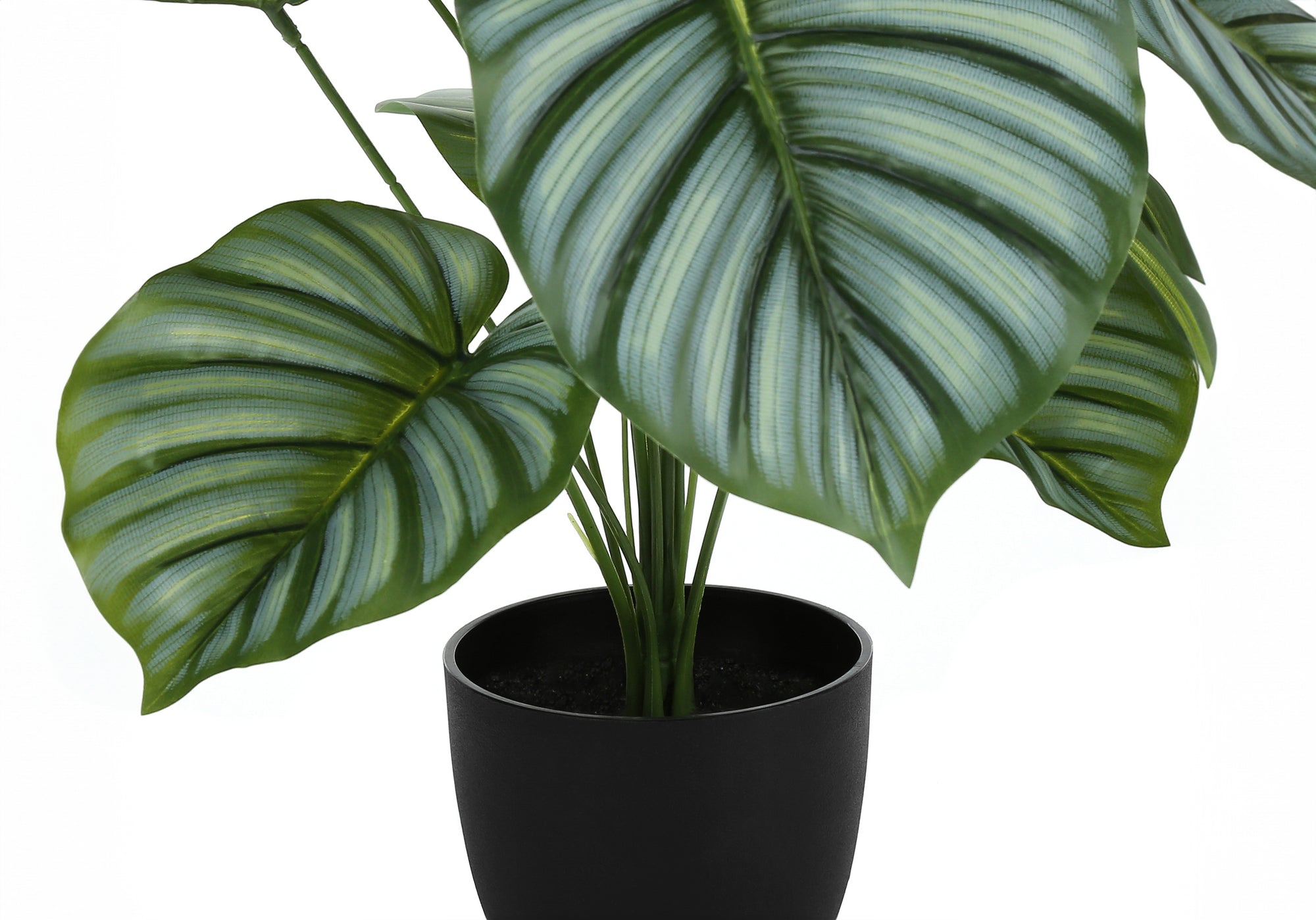 PLANTE ARTIFICIELLE - 24"H / CALATHEA D'INTÉRIEUR DANS UN POT DE 5" # I 9577