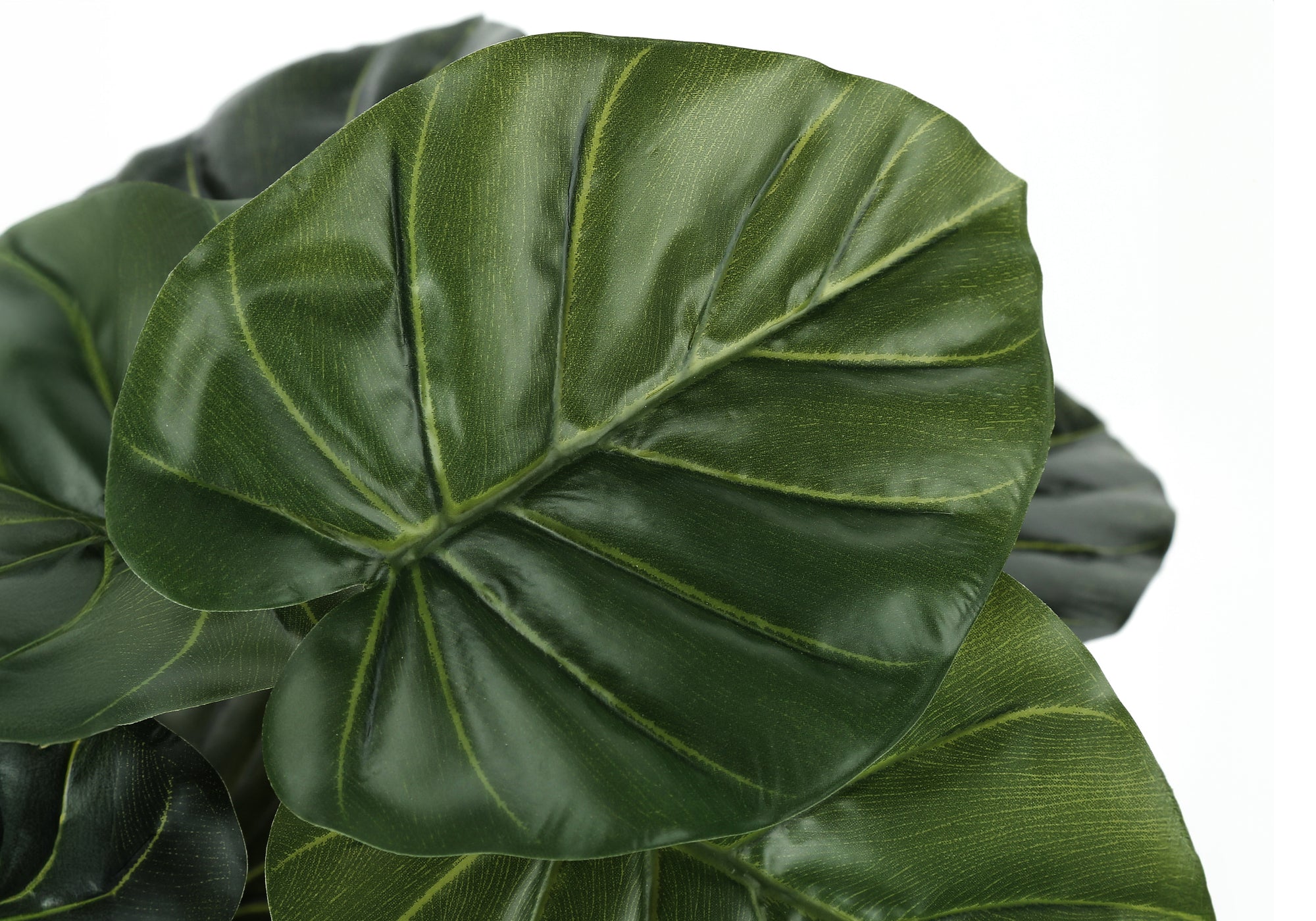 PLANTE ARTIFICIELLE - 24"H / ALOCASIA D'INTÉRIEUR EN POT DE 5" # I 9578