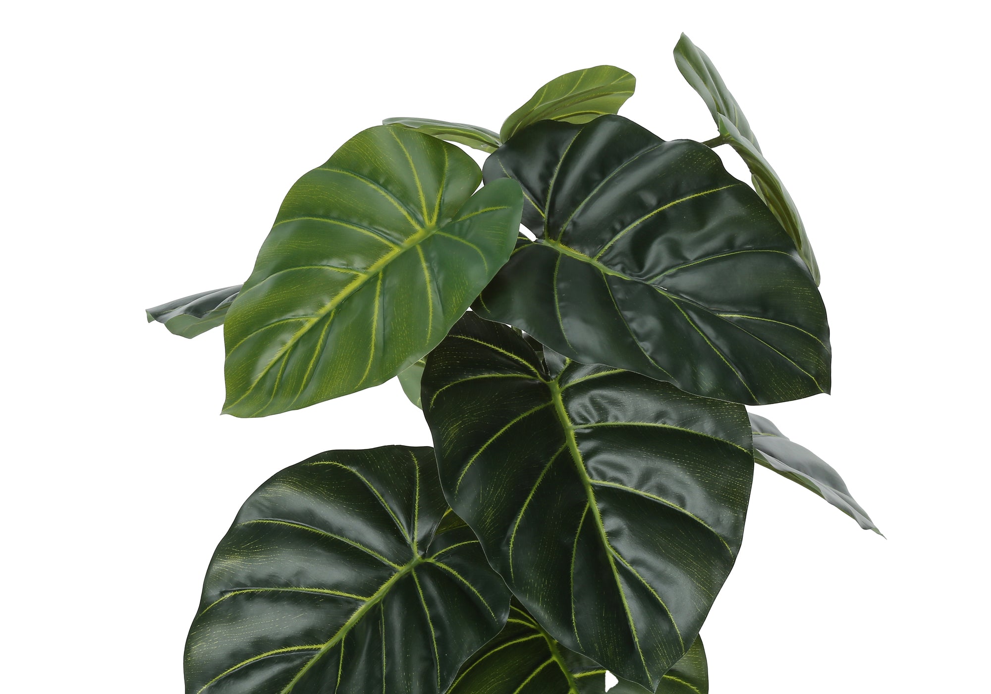 PLANTE ARTIFICIELLE - 24"H / ALOCASIA D'INTÉRIEUR EN POT DE 5" # I 9578