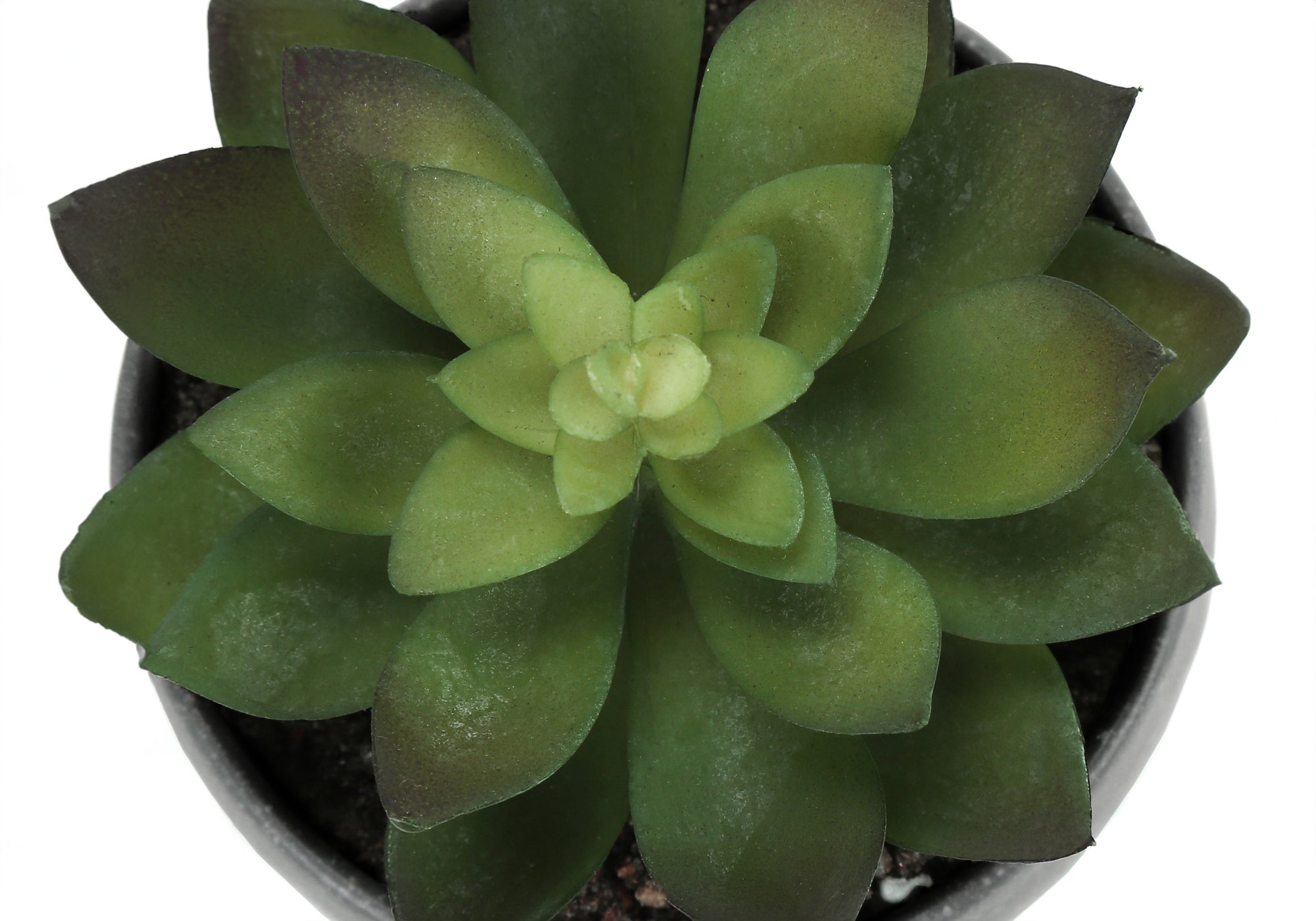 PLANTE ARTIFICIELLE - 3PCS / 6"H SUCCULENTE DANS UN POT GRIS DE 3" # I 9587