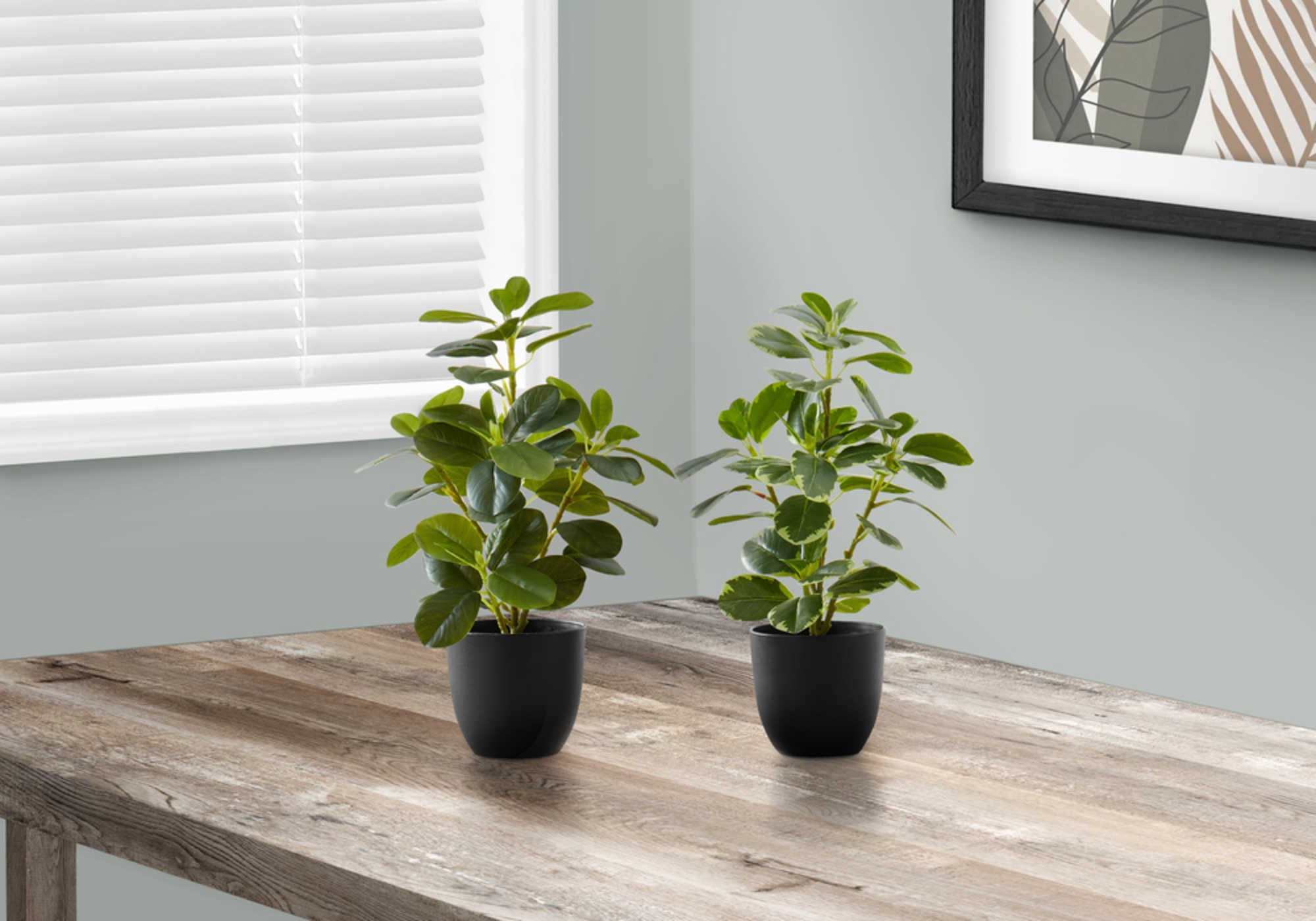 PLANTE ARTIFICIELLE - 2PCS / 14"H FICUS ELASTICA EN POT DE 4" # I 9585