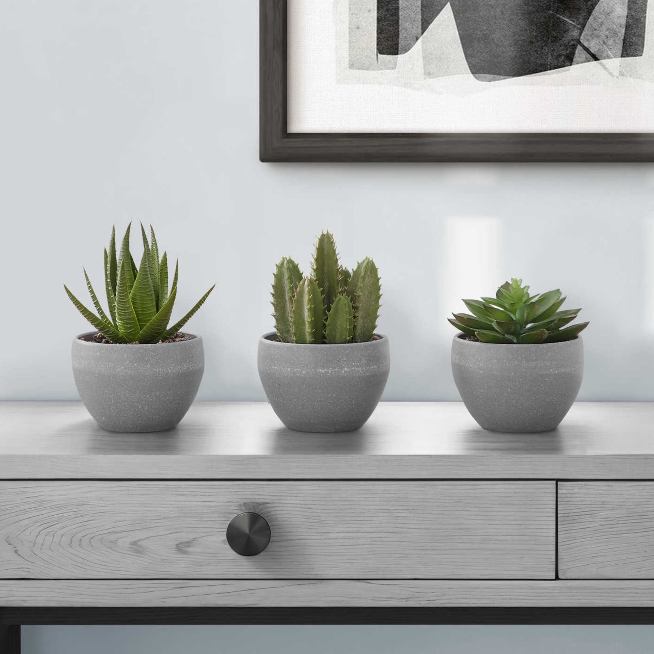 sucalo-succulentes-artificielles-gris_01
