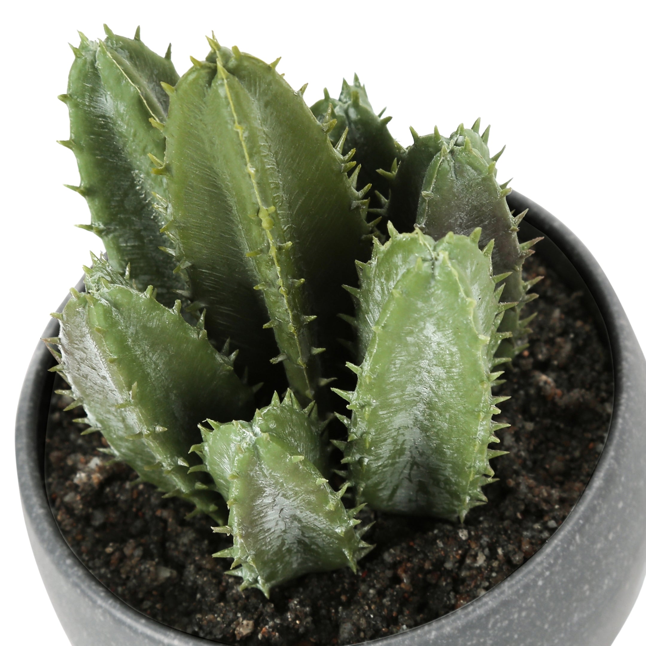 sucalo-succulentes-artificielles-gris_03