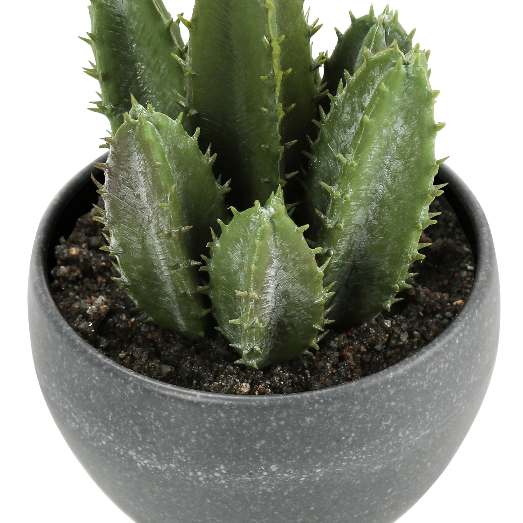 sucalo-succulentes-artificielles-gris_04