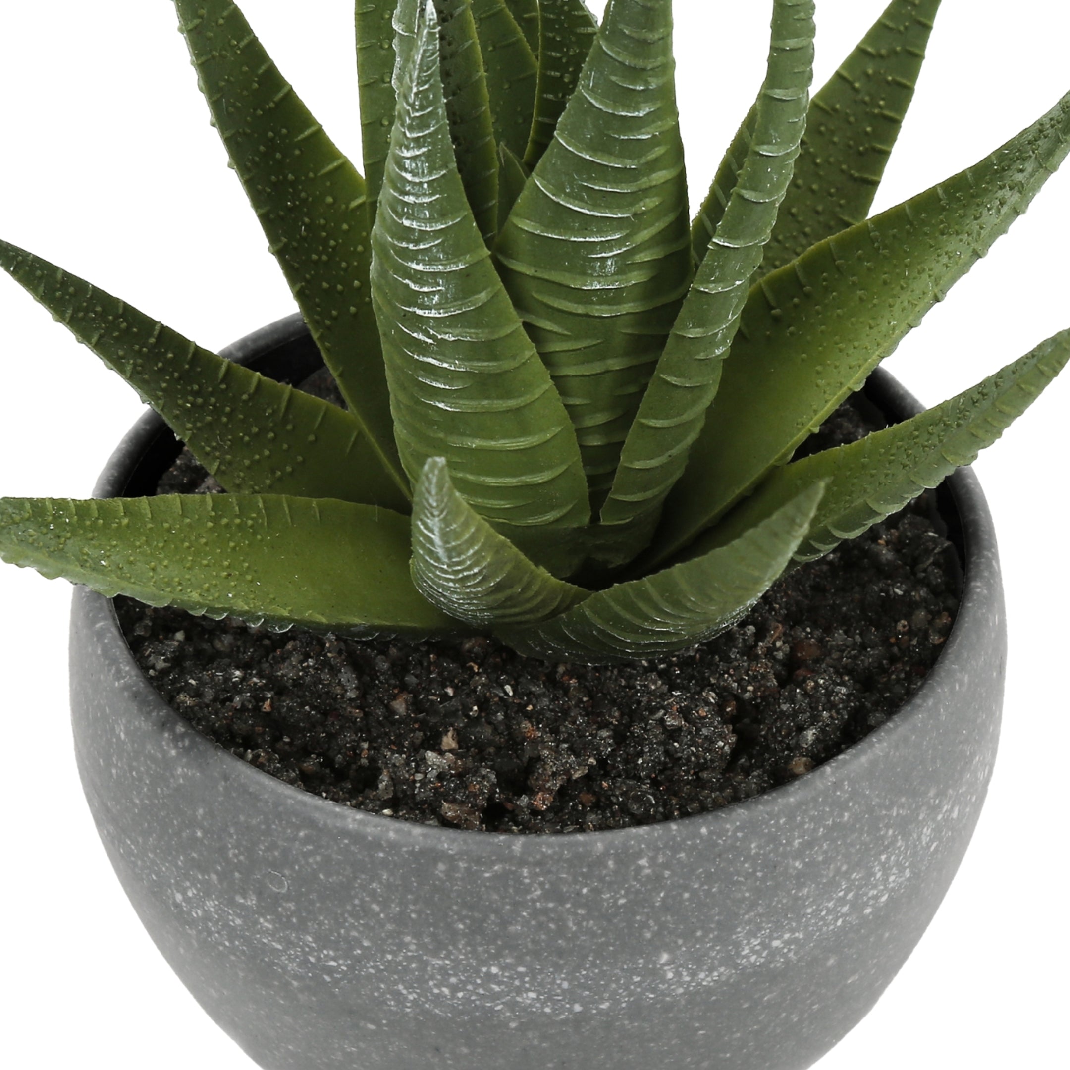 sucalo-succulentes-artificielles-gris_07